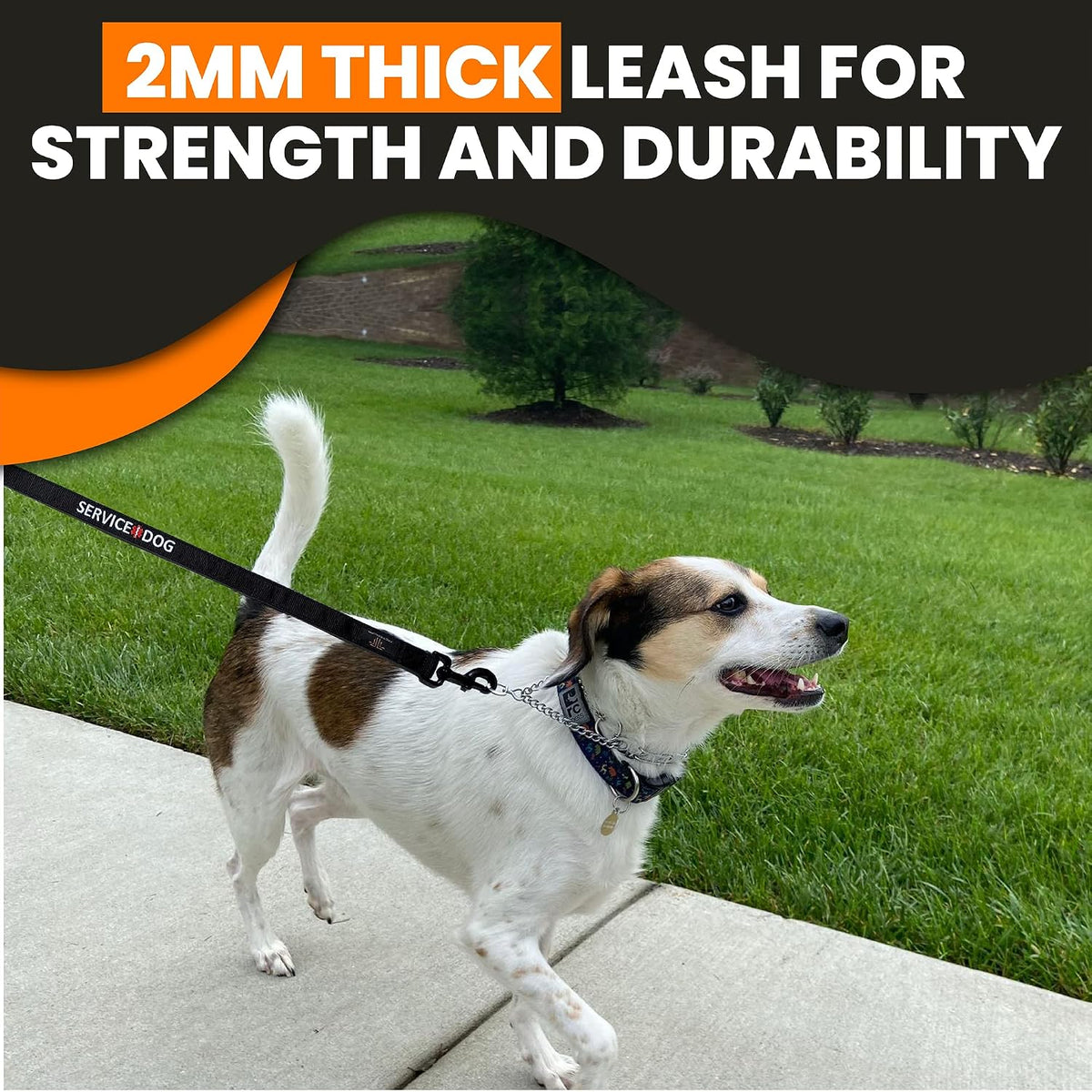Tacticollar - Service Dog Leash, Strong Nylon Leash, Soft Neoprene Padded Handle, Embroidery (4ft Length x 1in Width)