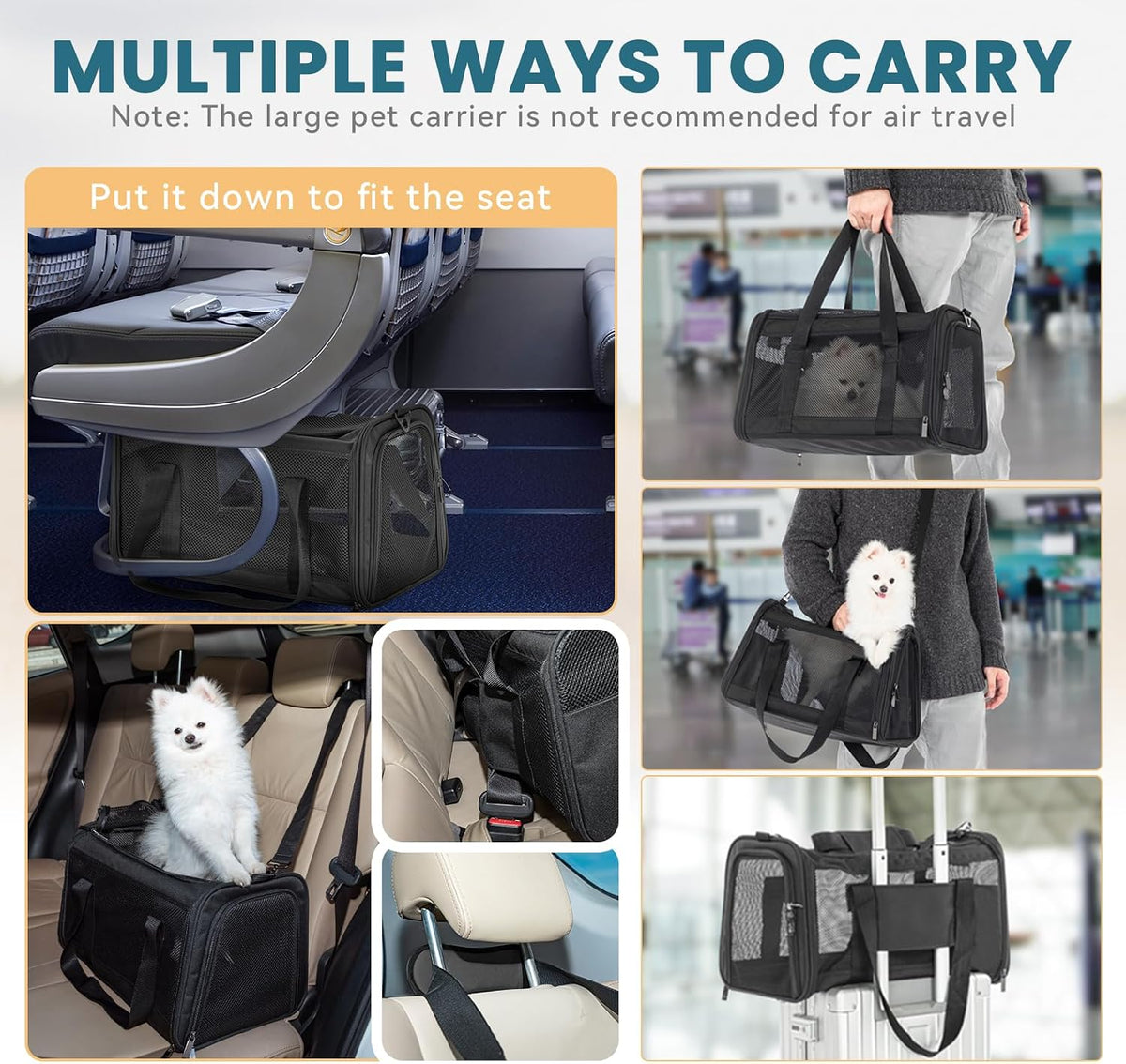 PETSFIT 19 x 12 x 12 Large Cat Carrier