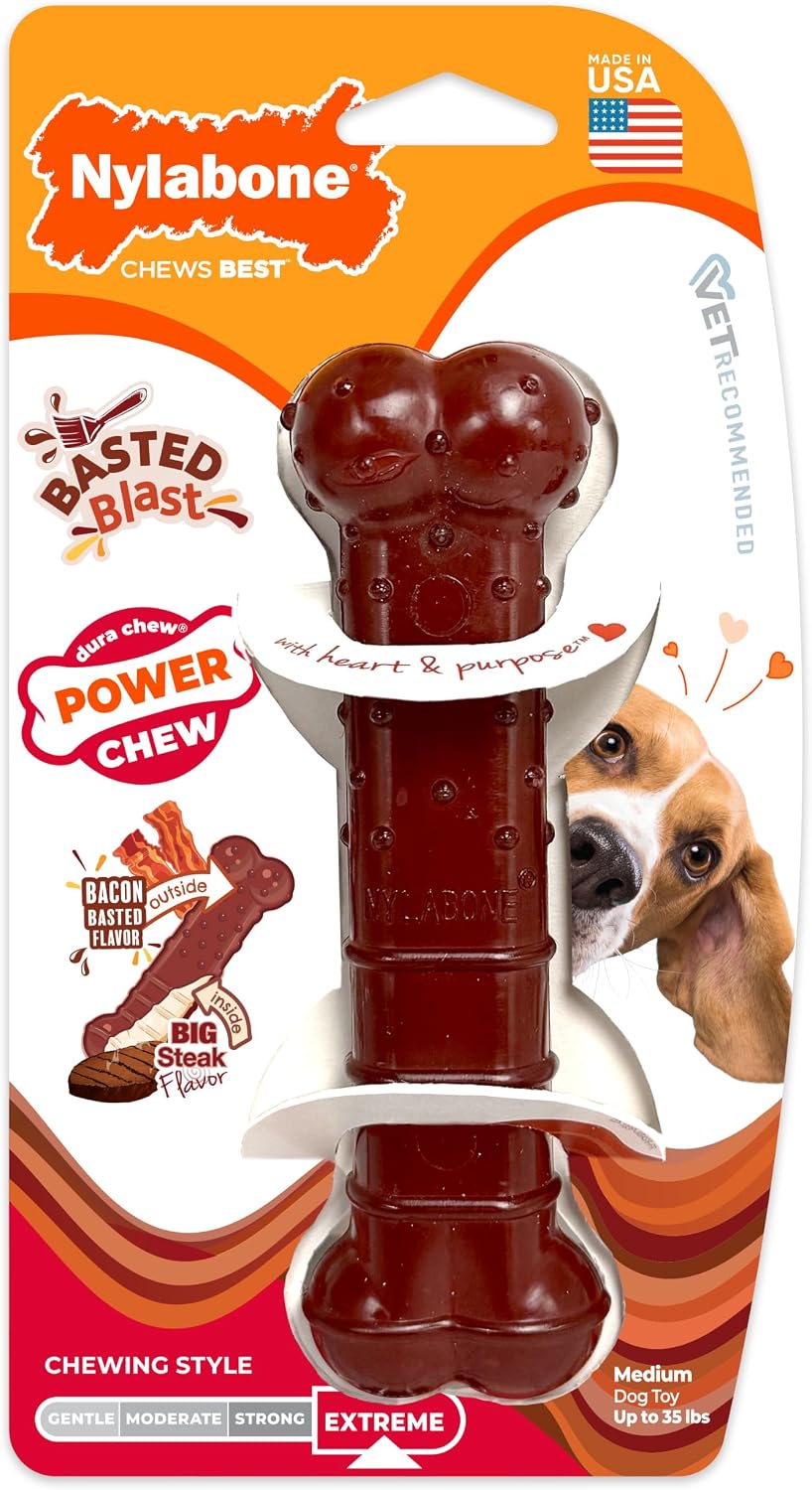 Nylabone Power Chew Basted Blast Dog Chew Toy, Bacon & Steak Flavor, Medium