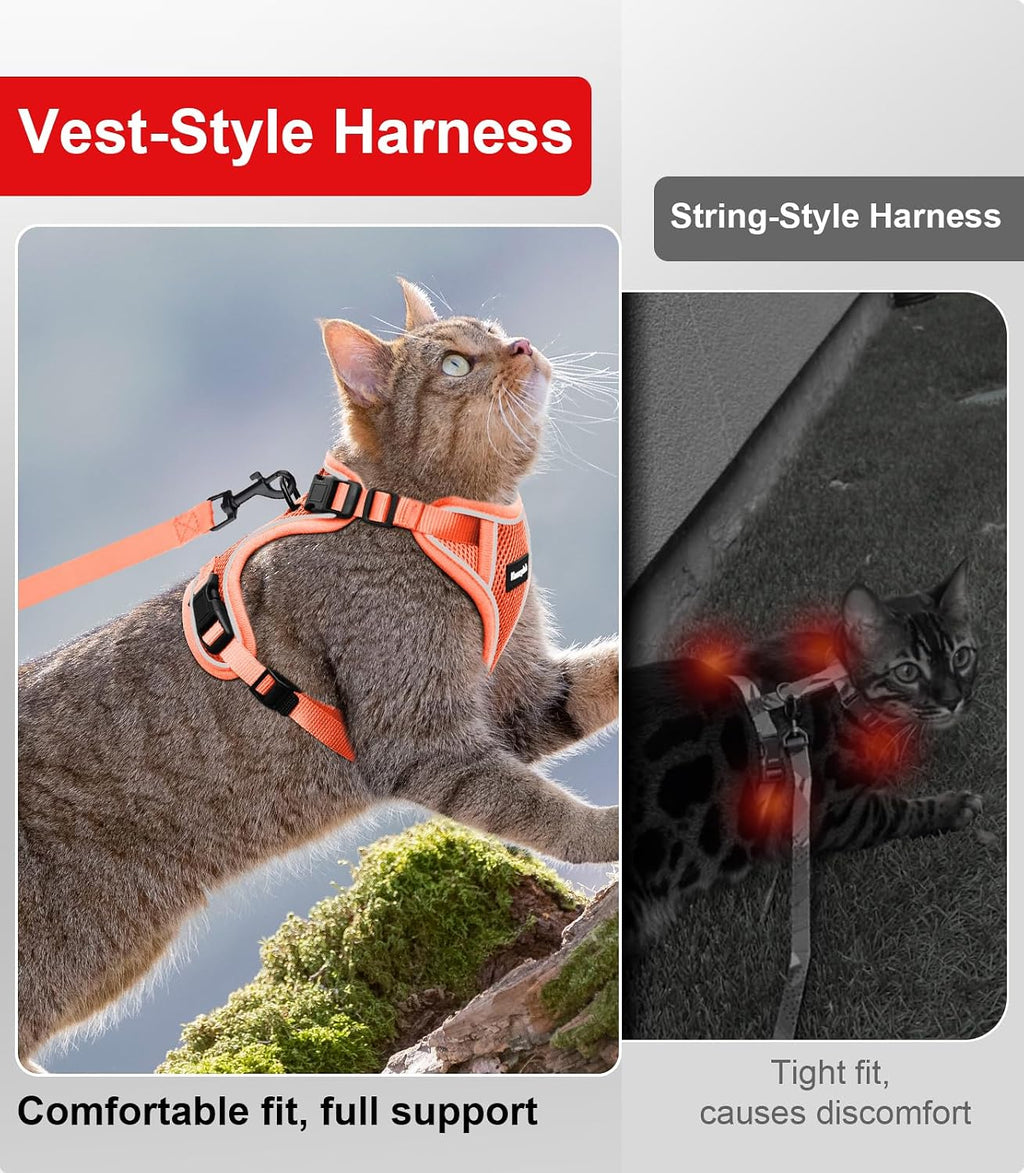 Cat Harness and Leash for Walking Escape Proof Soft Adjustable Cat Leash