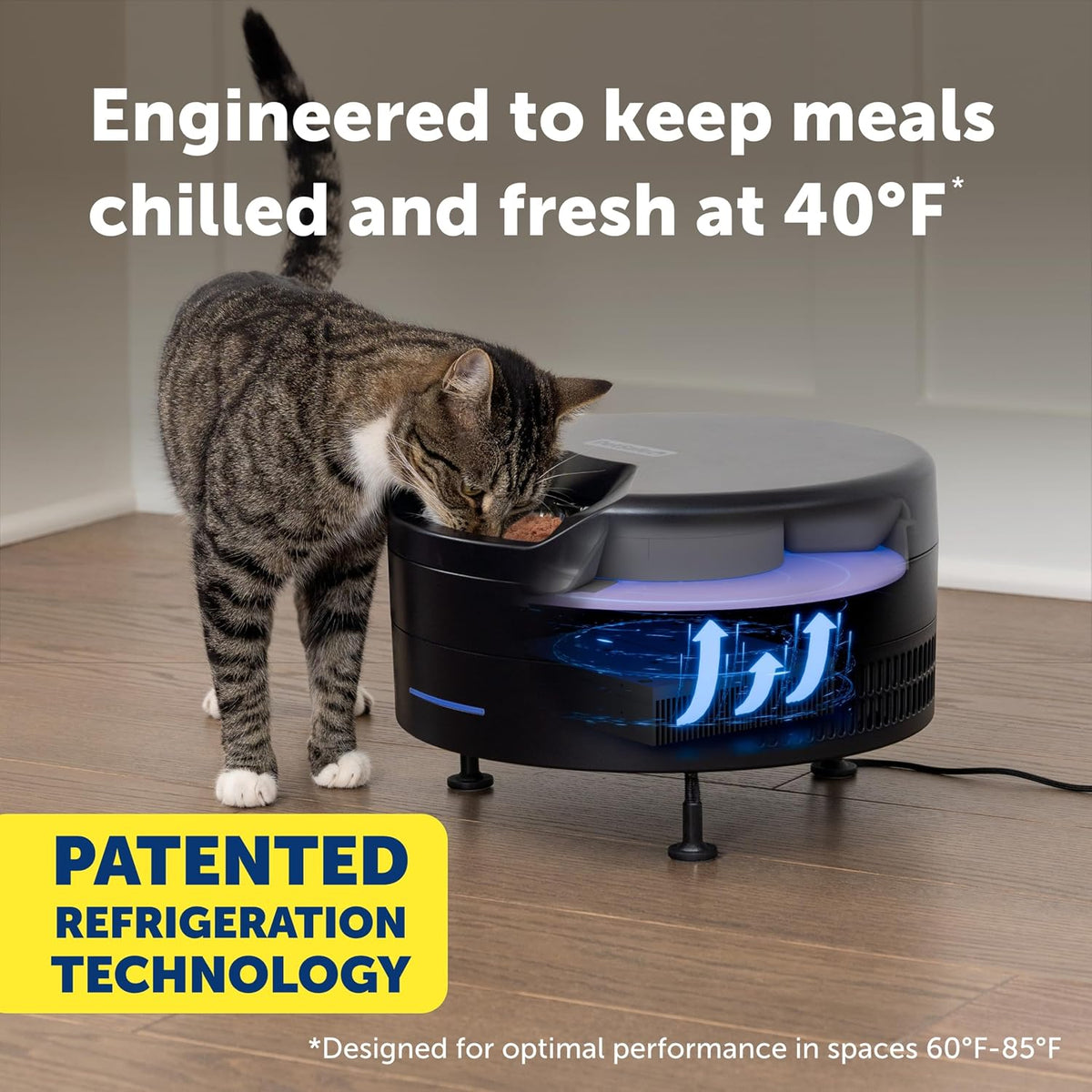 PetSafe FreshFeed Refrigerated Automatic Wet Food Feeder, 6 Meals, Black