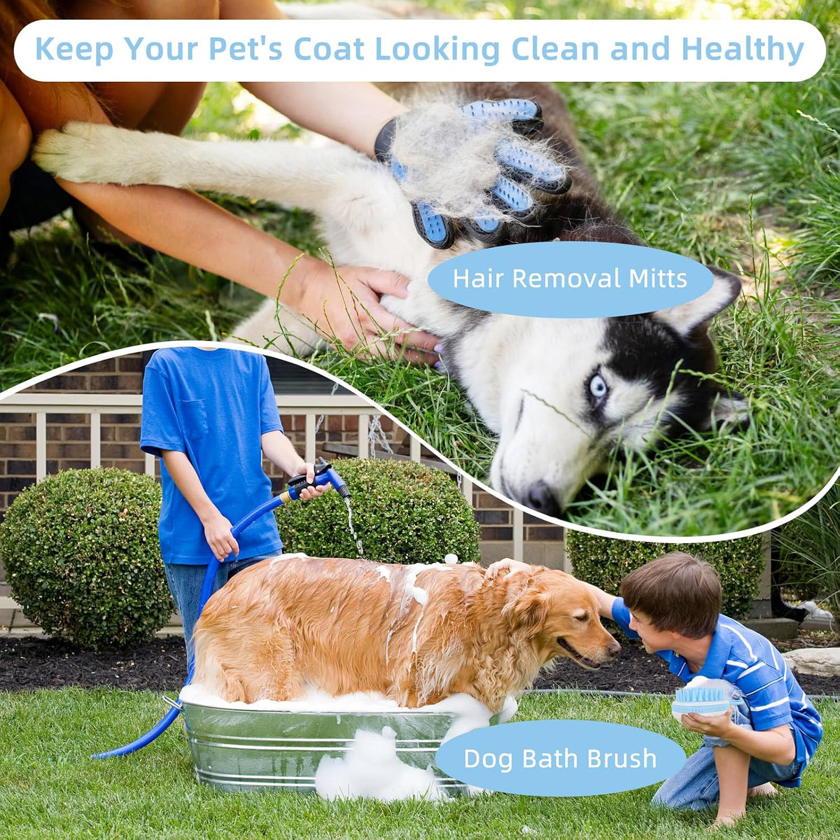 Wisedog 7-in-1 Dog Grooming Kit for Small Medium Dogs & Cats, Blue