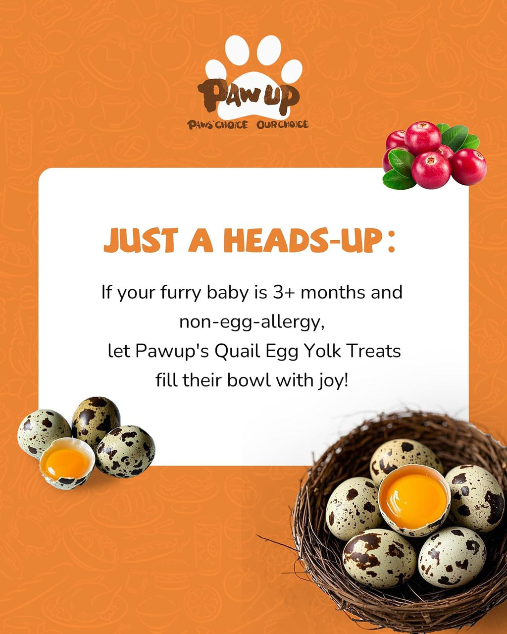 PAWUP Freeze Dried Cat & Dog Treats, Natural Quail Egg Yolk, Rich in Antioxidants Cranberry Added, High-Protein Pet Snacks for Coat & Urinary Health, 3.5 oz