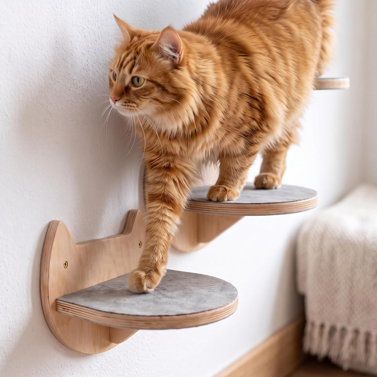 Cat Wall Shelves, Modern Cat Wall Furniture for Indoor Cats