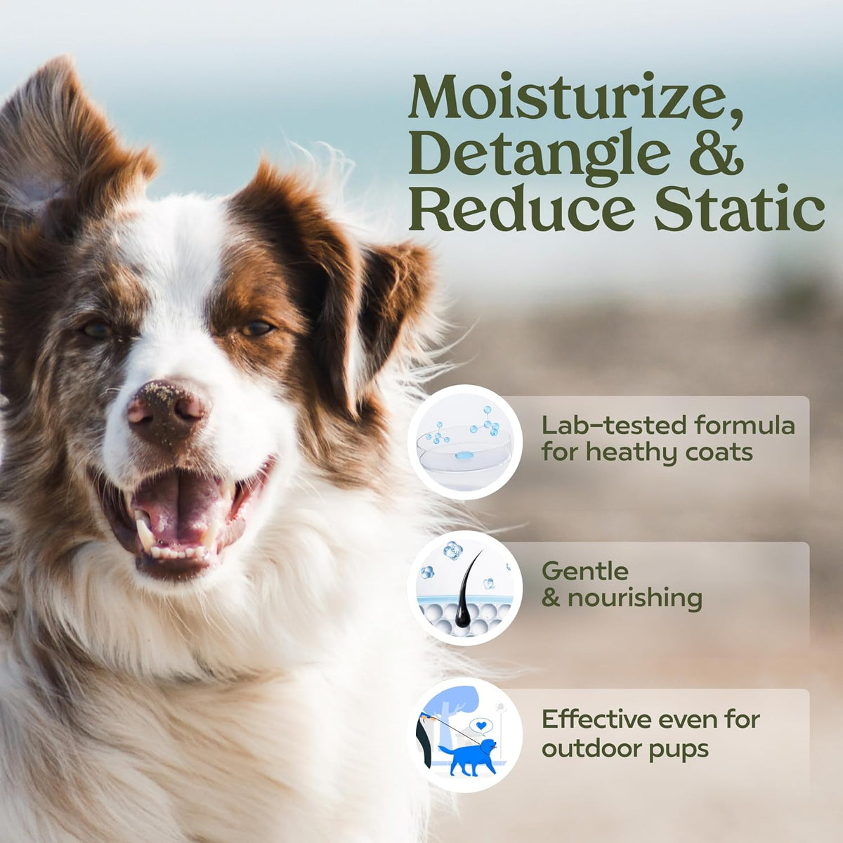 PAWFUME Dog Cologne Spray for Grooming, Blue Ribbon, 1-Pack