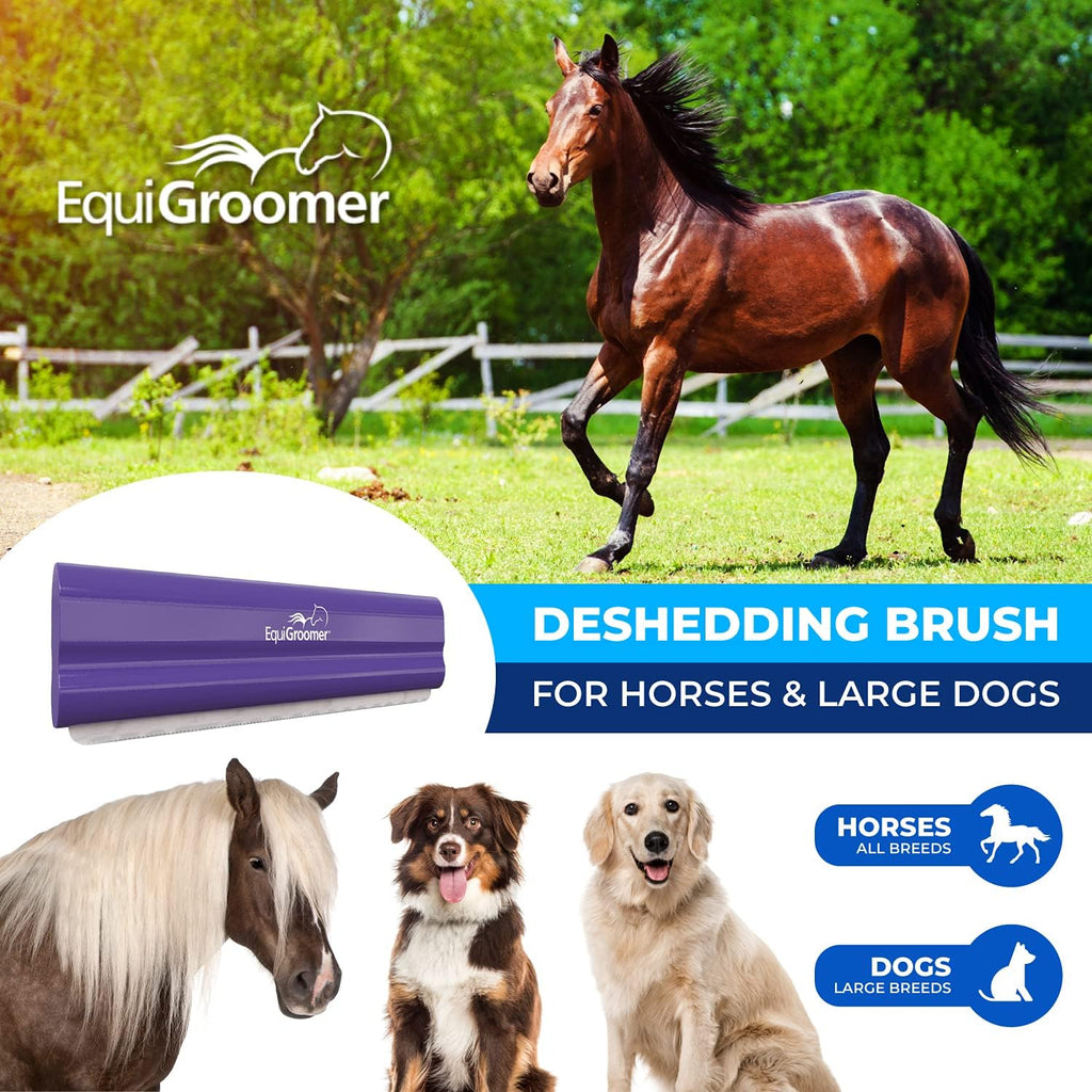 EquiGroomer 8-Inch Deshedding Brush for Dogs & Horses, Purple | Best for large dogs 50 lbs and up, plus horses and ponies, thick coats, stainless blade, gentle on skin 
