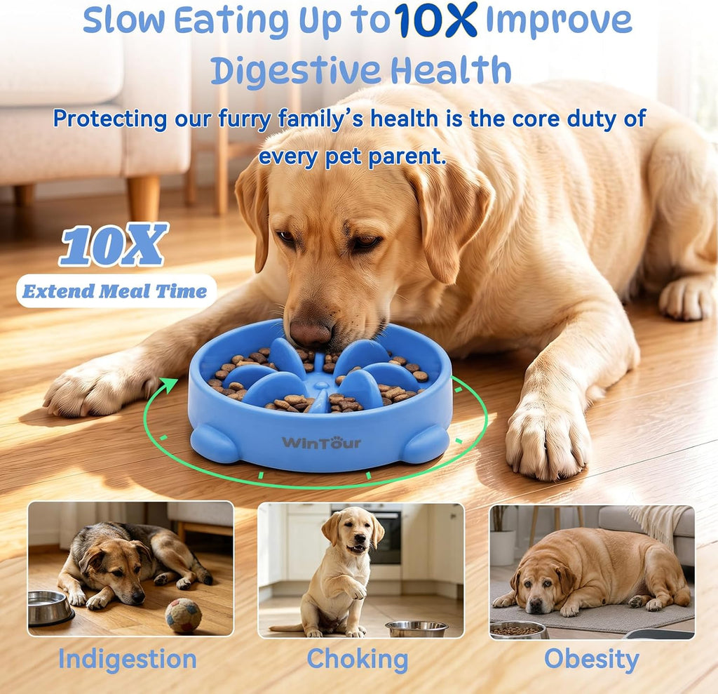 WinTour Slow Feeder Dog Bowls for Small Medium Pets, Round PP Dish, 1 Pack