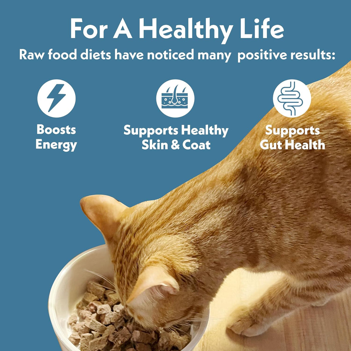 Fresh Is Best Duck Freeze Dried Cat Food – High-Protein Freeze Dried Duck