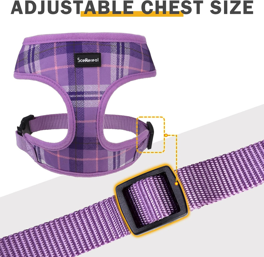 SCENEREAL No Pull Dog Harness and Leash Set Small Medium Sized Dog