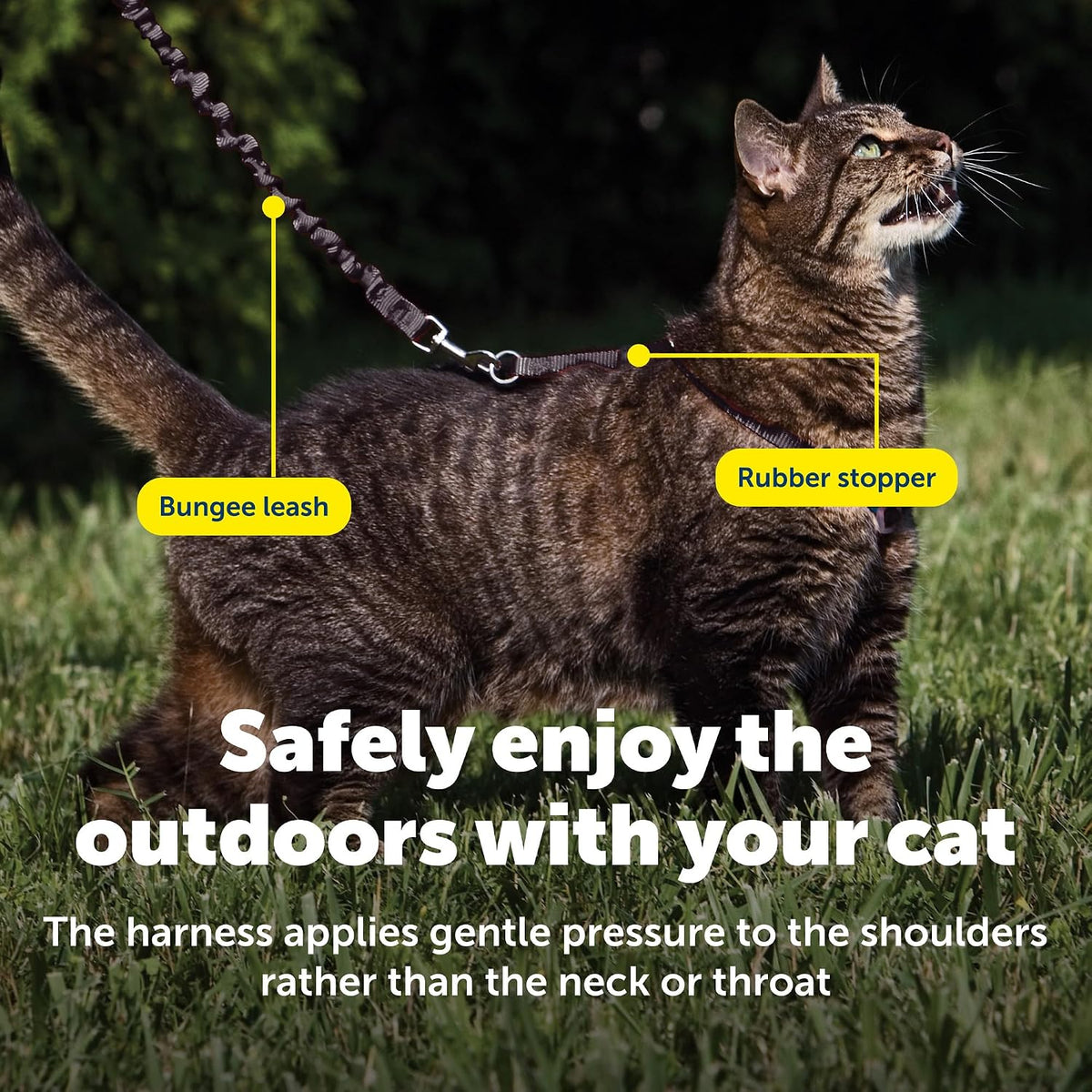PetSafe Come with Me Kitty Harness and Bungee Cat Leash, Black, Small