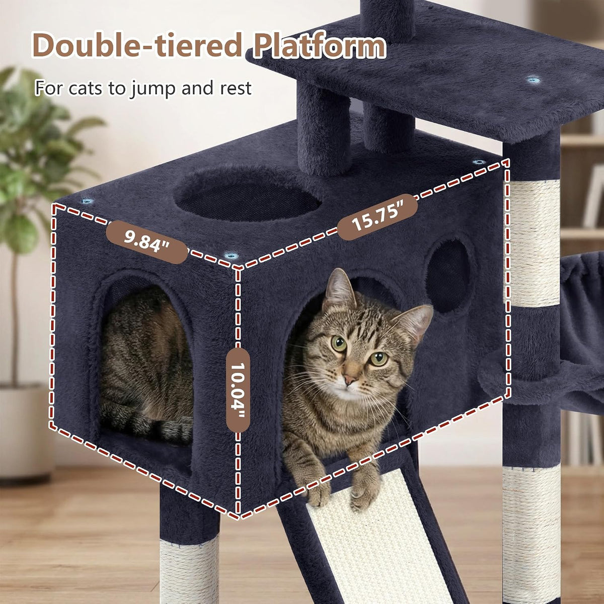 Gitelsnour Cat Tree Tower 42'' with Condo, Indoor Scratching Post GCT005SG