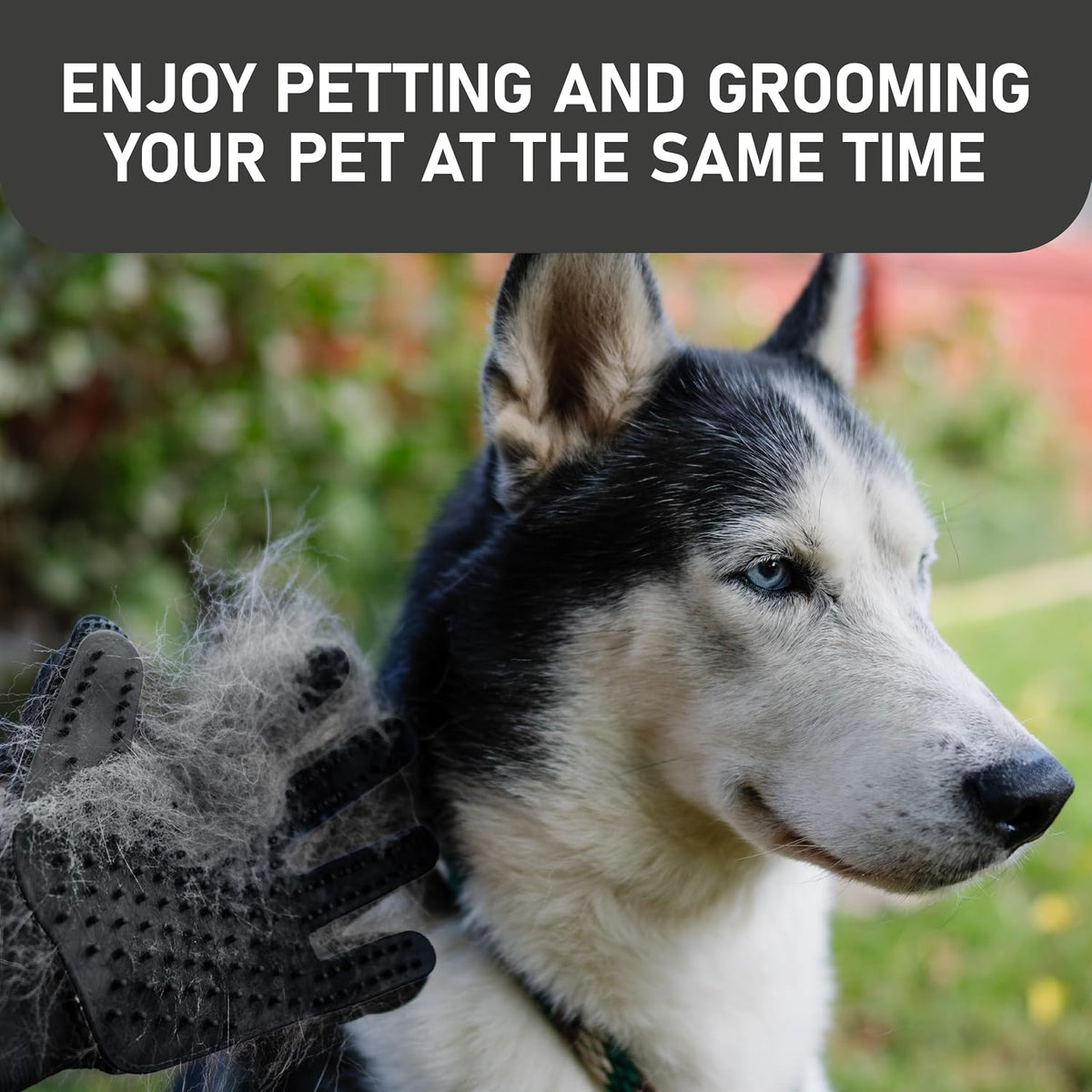 Maxpower Planet Pet Grooming Gloves for Dogs and Cats - Grooming Mitt for Dogs -Cat Gloves - Hair Removal Bruh - All Hair Types