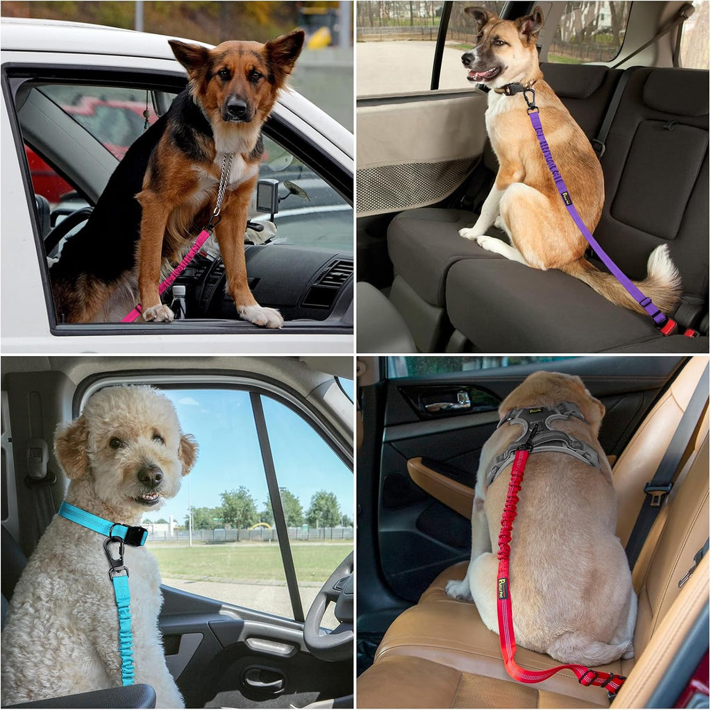 Plutus Pet Dog Seat Belt for Car, Adjustable Harness with Elastic Bungee