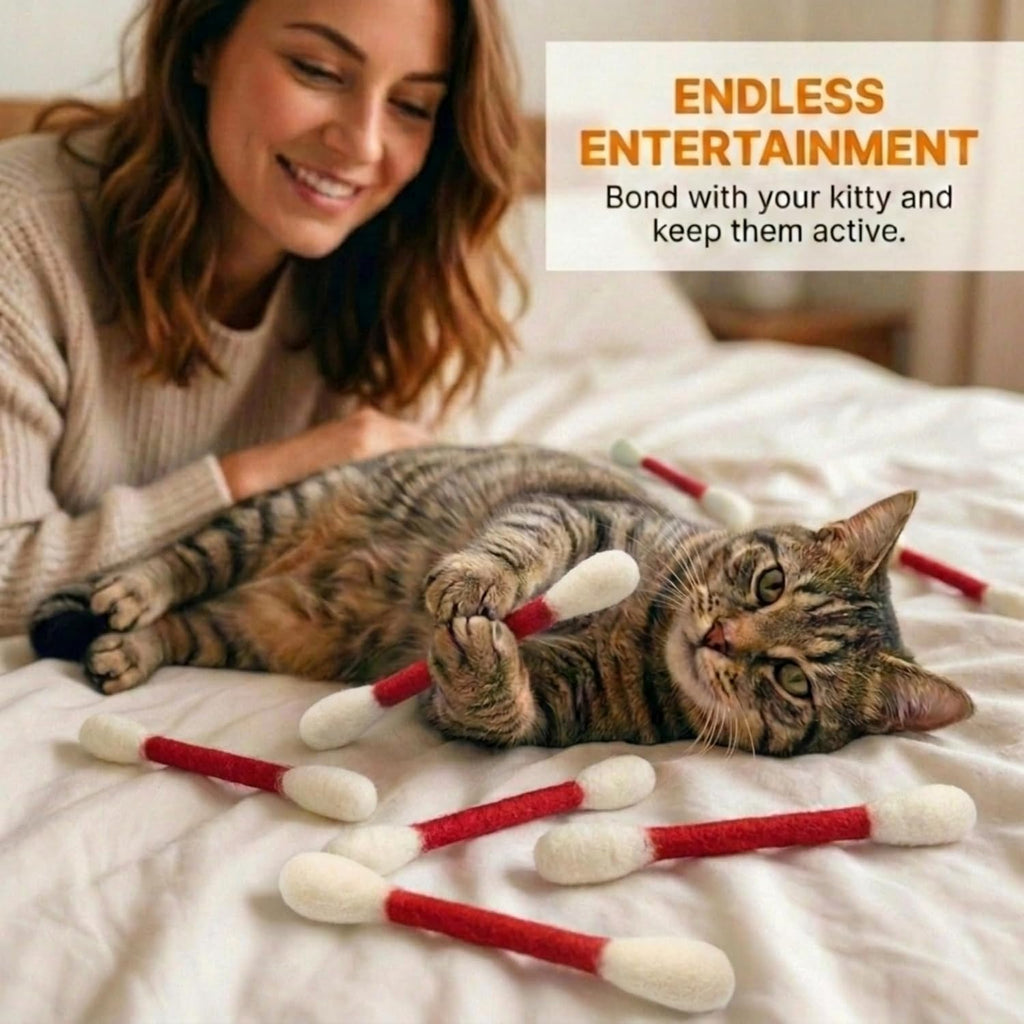 Glaciart One Swabs Cat Toys with Catnip - 6 Pk | Durable for Chew, Cute Cat Toys Interactive Kitty for Boredom, Exercise, & Play | Filled w/Organic Catnip for Anxiety & as Digestive Aid | Gift Idea