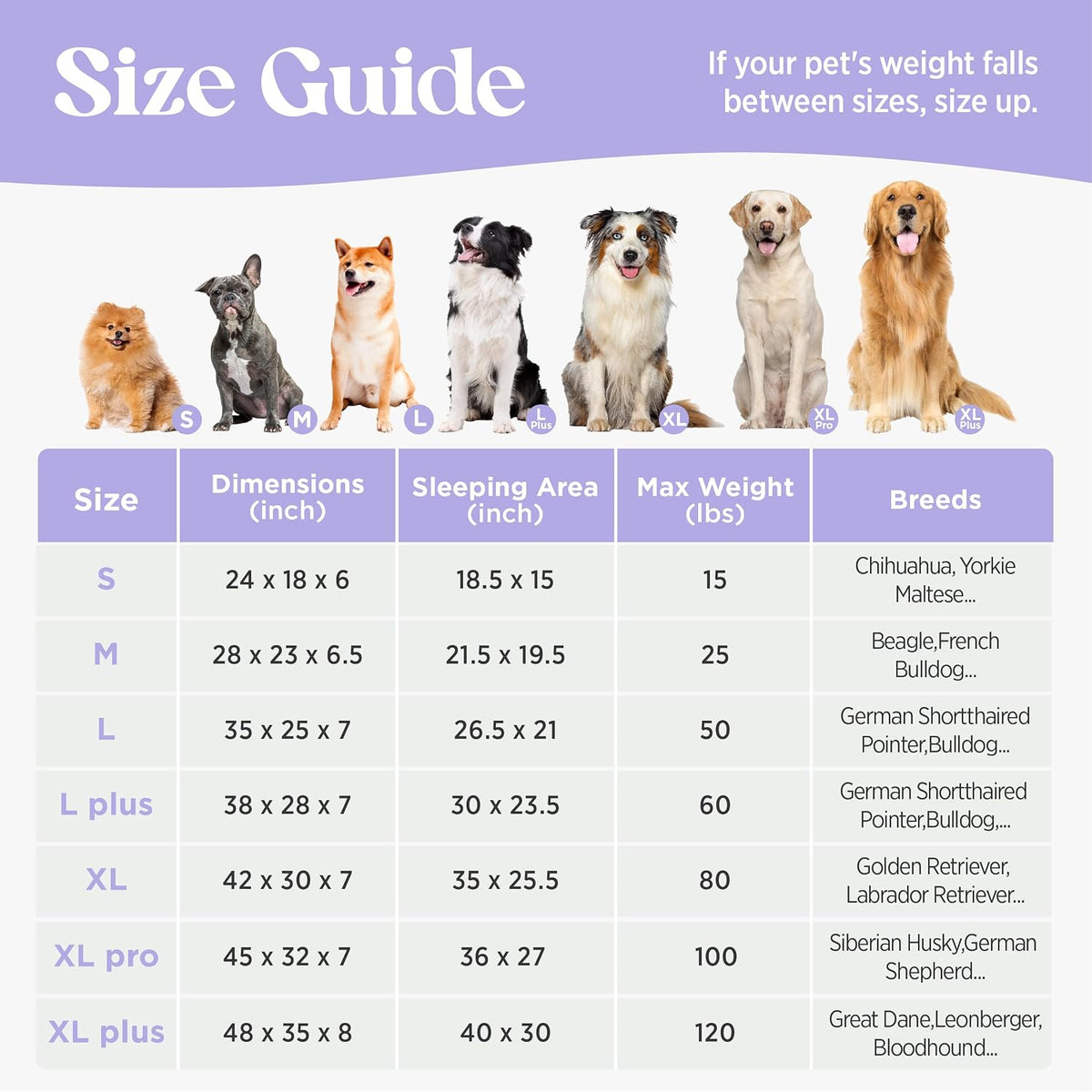 LE SURE Cute Cozy High Back Orthopedic Dog Beds Medium Size Dog,28" Blue