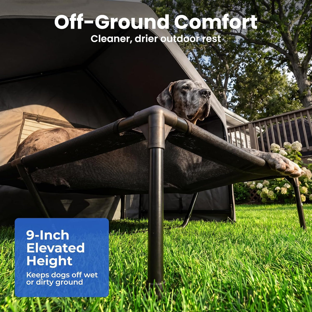Zooba Extra Large Dog Shade with Elevated Bed, Outdoor Dog House Waterproof