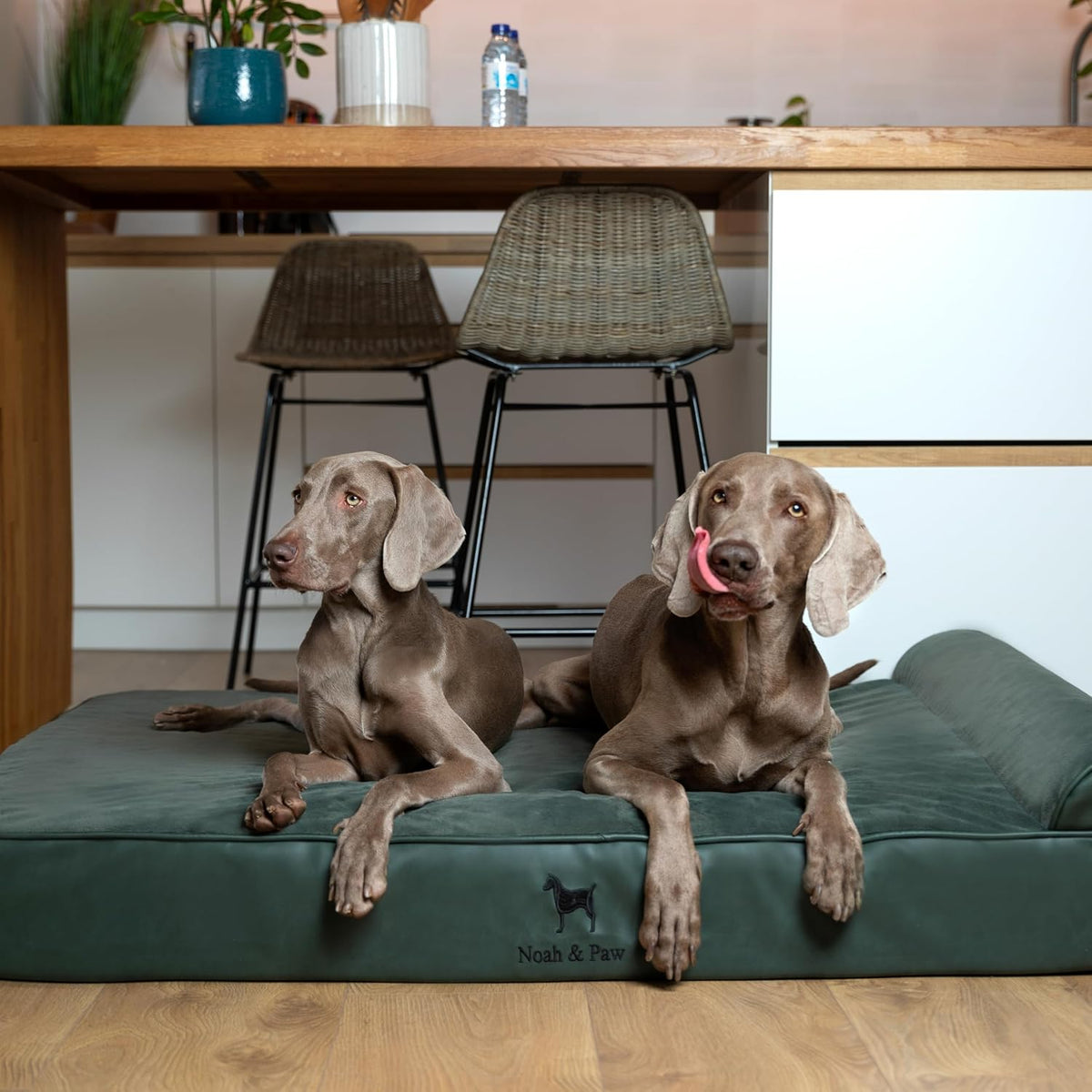 NOAH & PAW XXL Dog Bed Orthopedic Memory Foam Cooling Gel 55x45x9.5 in