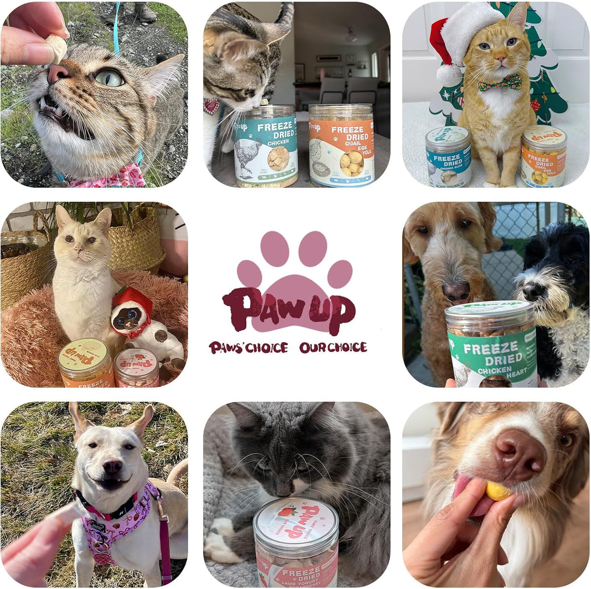 PAWUP Freeze Dried Cat Treats, Duck Breast, Single Ingredient, 4.6oz