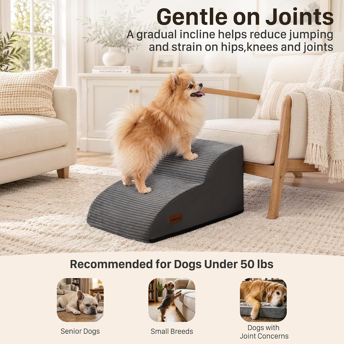 Aodisman 2-Step Dog Stairs for Small Dogs, 11.8" H Pet Stairs for Couch