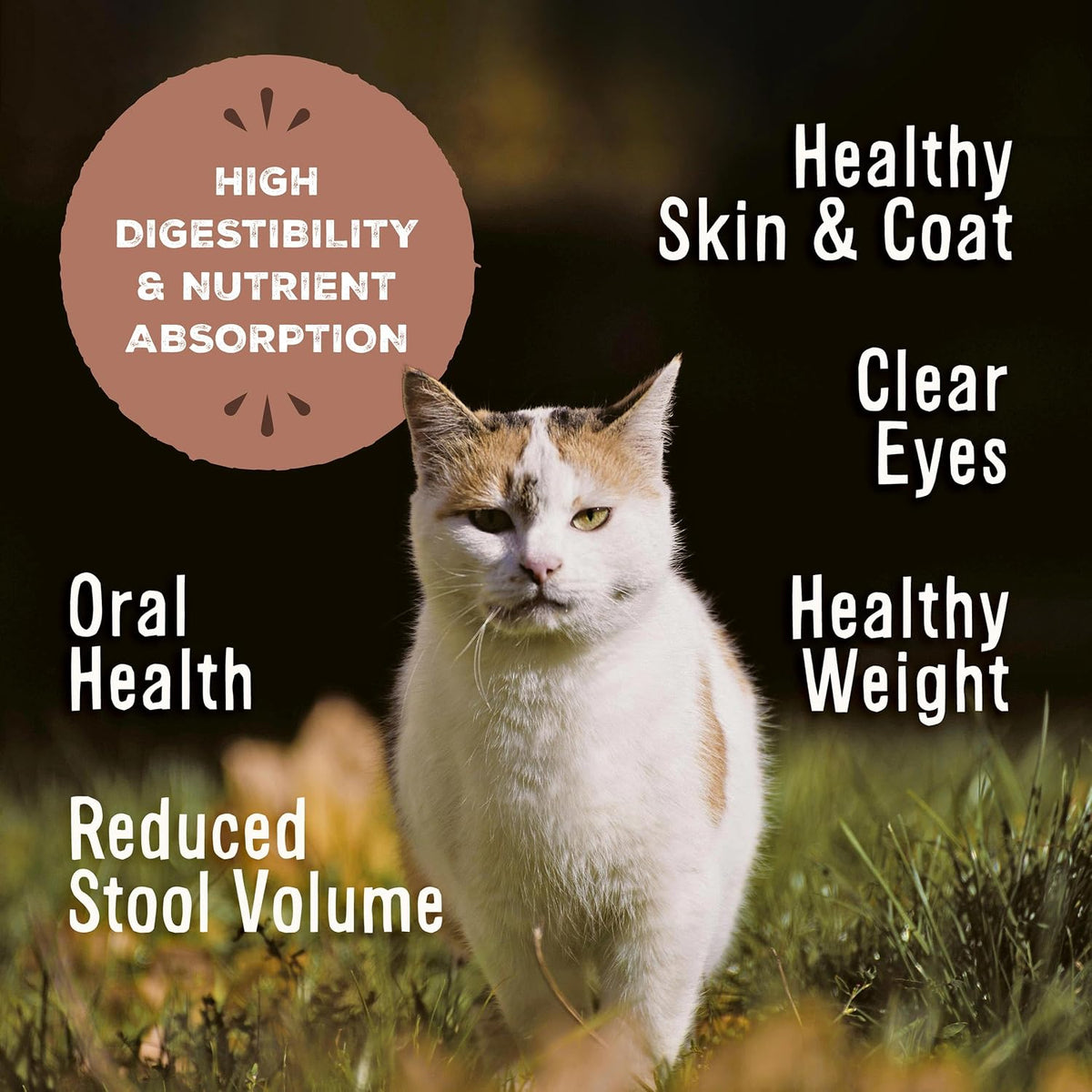 Primal Freeze Dried Raw Cat Food Nuggets, Turkey, 14 oz