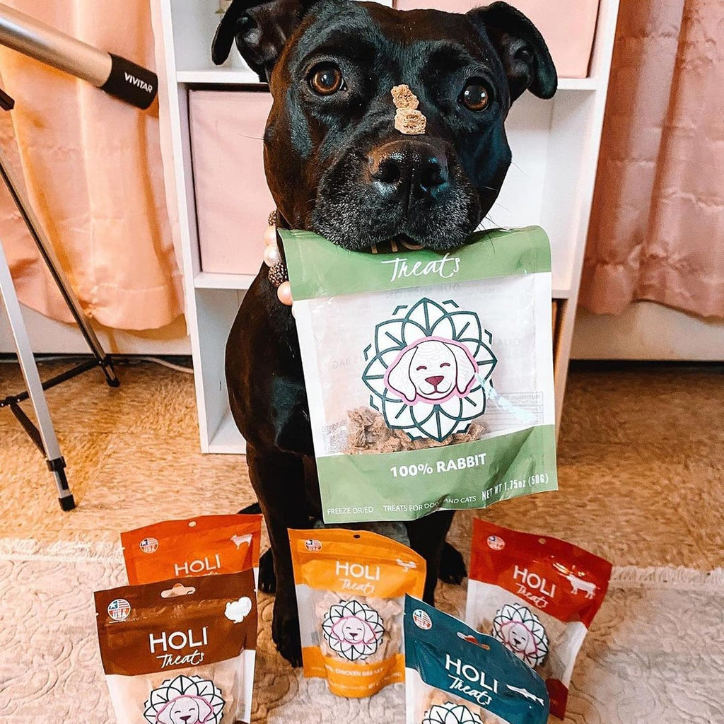 HOLI Freeze Dried Rabbit Dog Treats – Single Ingredient Freeze Dried Rabbit Treats for Dogs – All Natural – High Value Training Treats - (3.5 Ounce - 2 Pack)