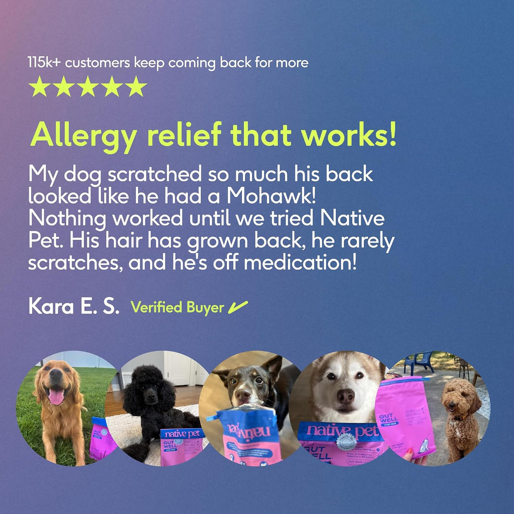 Native Pet Itchy Skin - Dog Itching Skin Relief - Vet-Formulated Gut-Skin Support, Seasonal Allergies, Healthy Skin Barrier - 120 Scoops