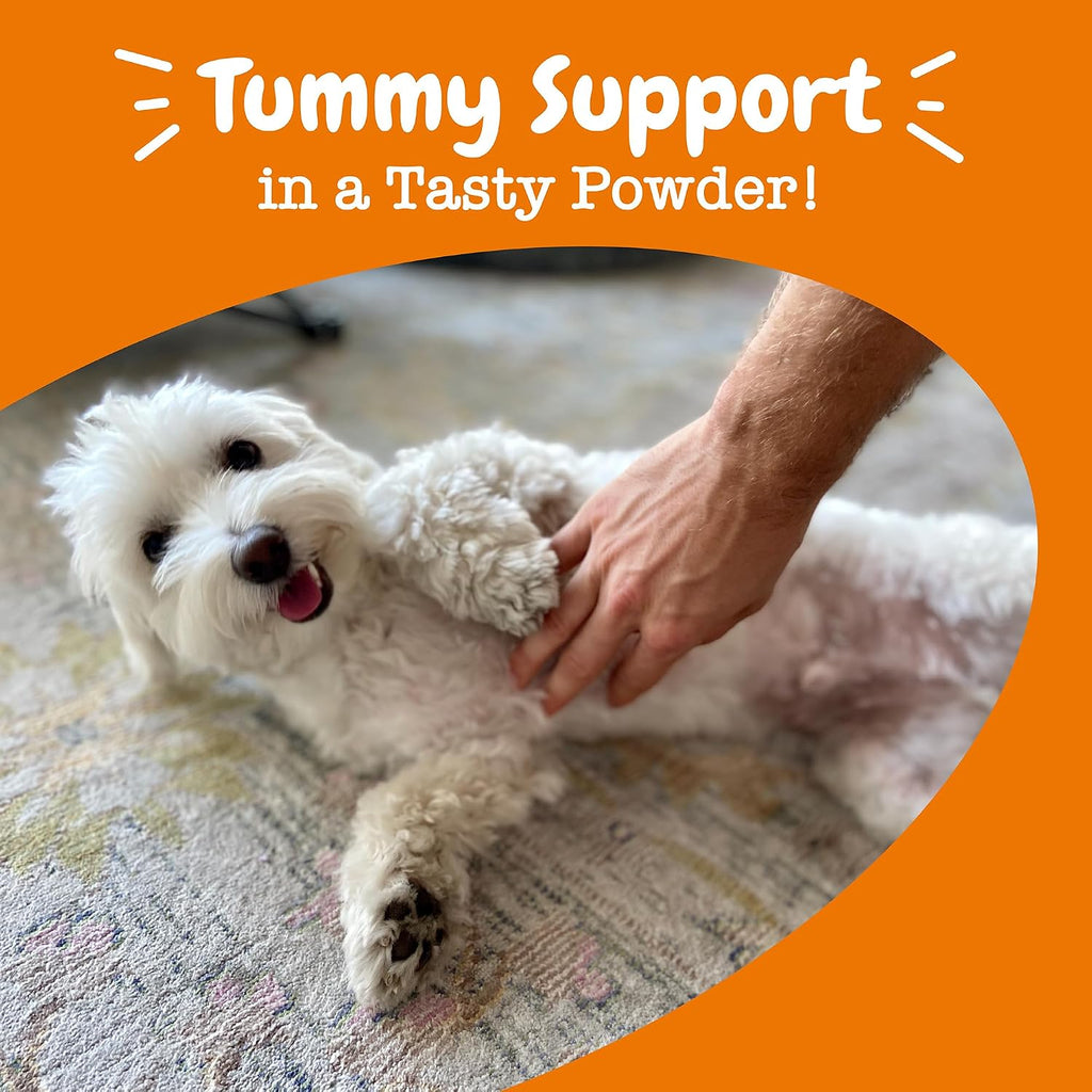 Zesty Paws Probiotics for Dogs - Powder Meal Topper for Dogs, Pumpkin 30 ct