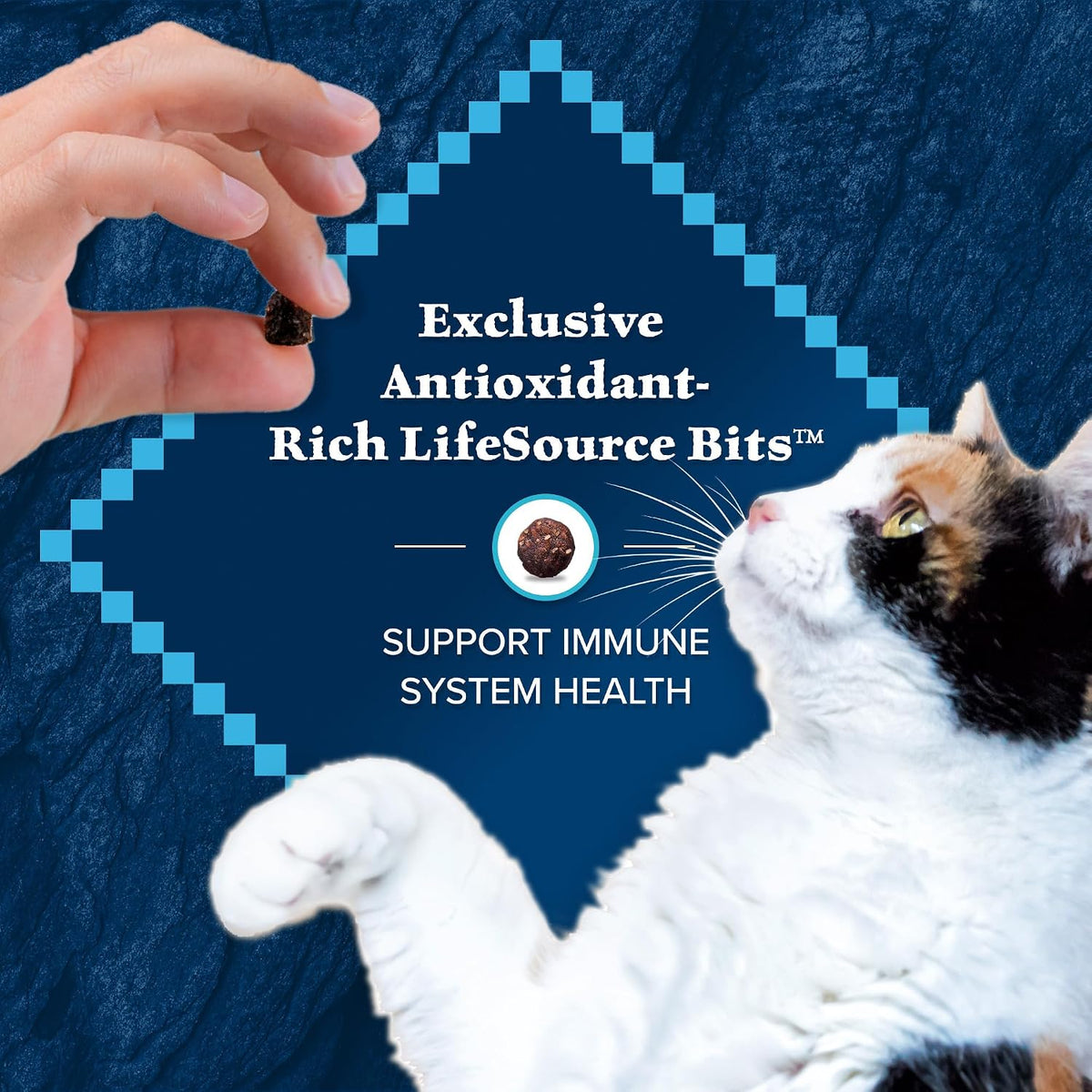 Blue Buffalo Wilderness Chicken Weight Control Dry Cat Food, 5 lb