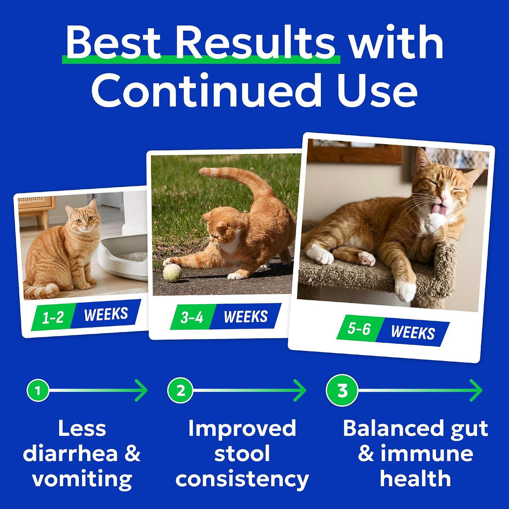 BARK&SPARK Cat Probiotic Powder, 108 Servings – Digestive Health Support