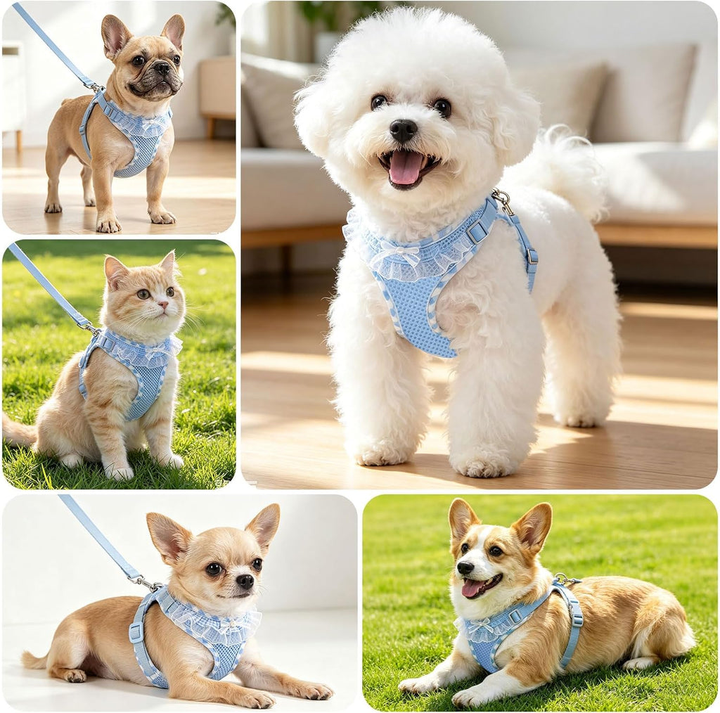 ABRRLO Cute Puppy Harness and Leash Set for Small Dogs Cats Boys,Blue,S