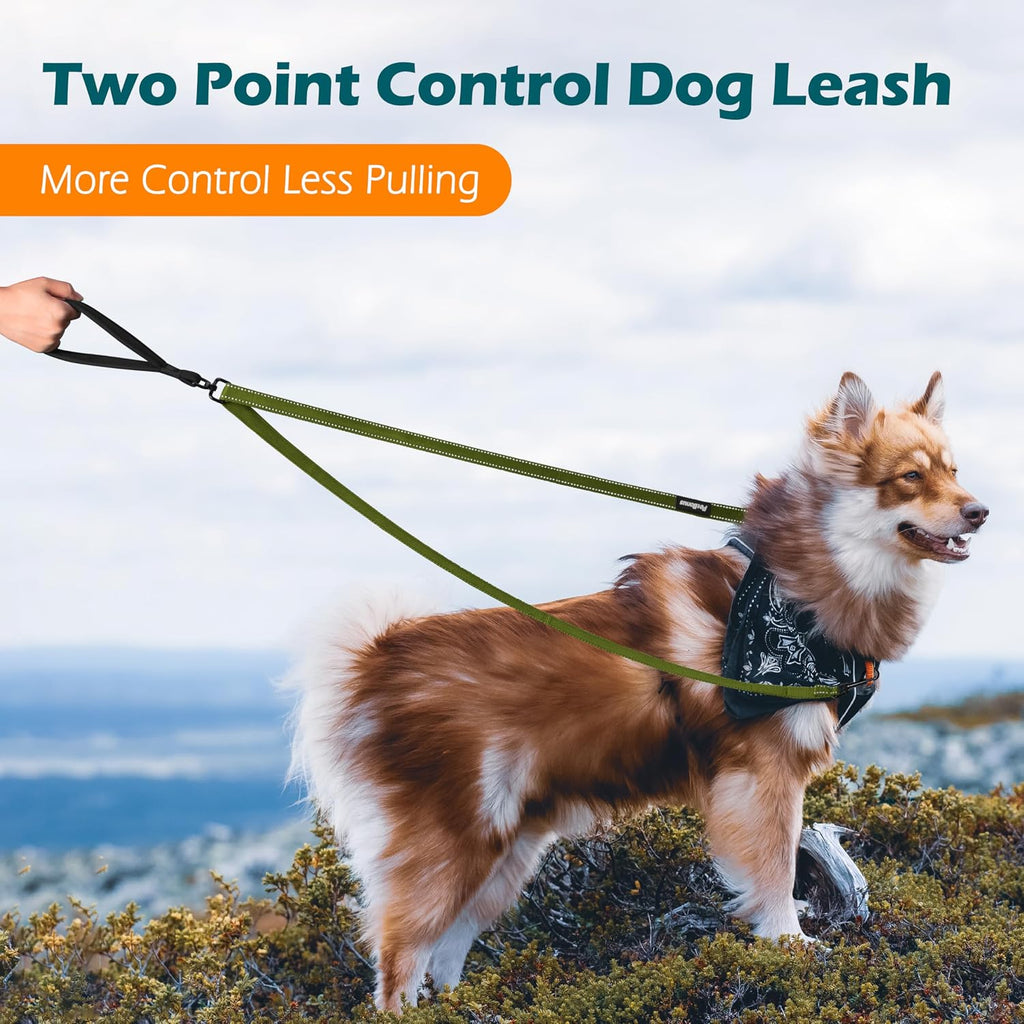 PetBonus Two Point Control Dog Leash, No Tangle Training Walking Leashes