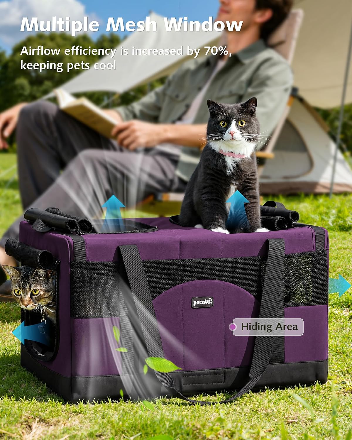 Pecute Cat Carrier, Soft Double Pet Crate for 2 Cats Travel, Purple