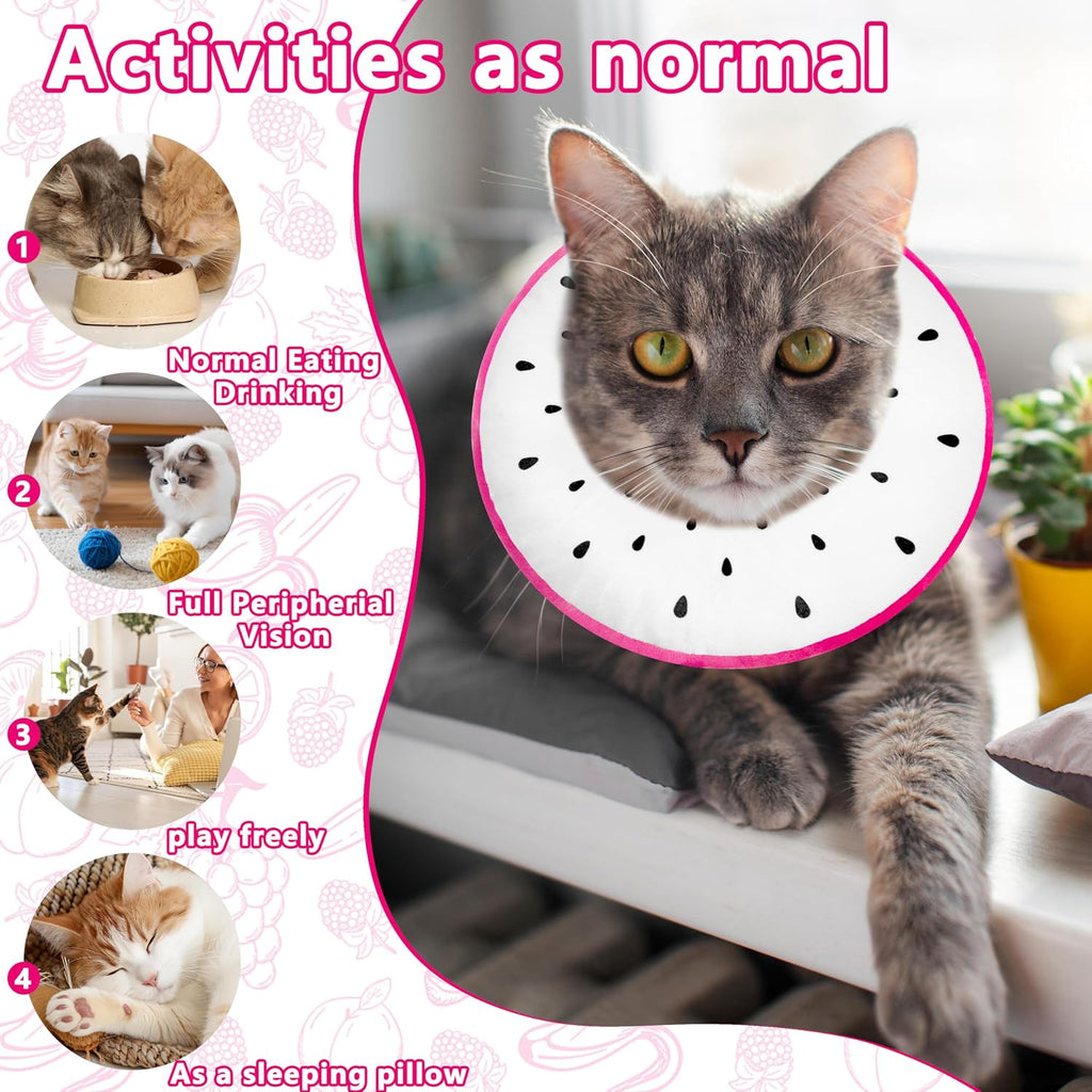 Cat Cone Collar Soft, Cat Recovery Cone (Dragonfruit, L)