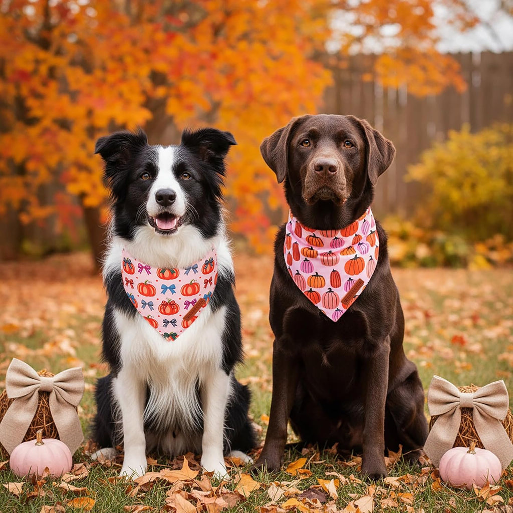 ADOGGYGO Fall Dog Bandanas Girl, Pink Bow Pumpkin Thanksgiving Bandana, L