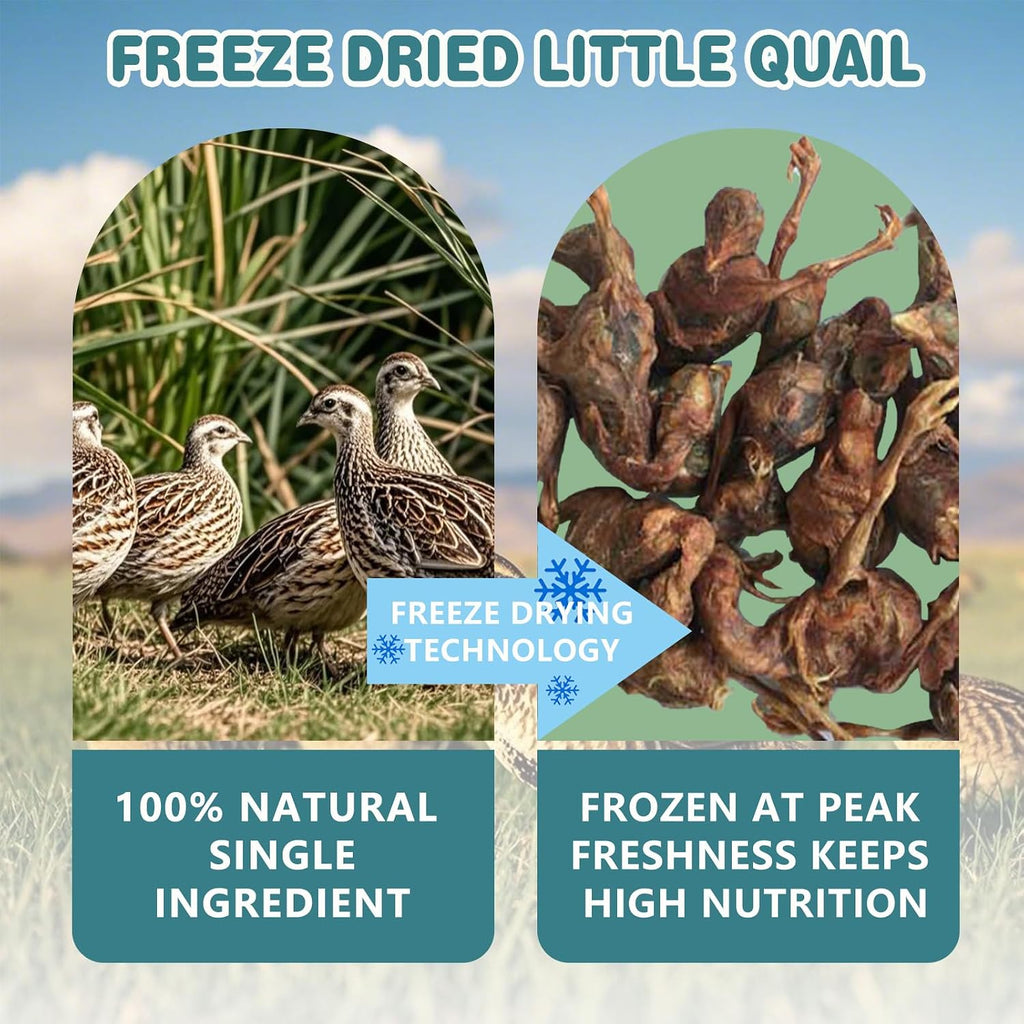 Freeze Dried Little Quail, 4.5 Oz Quail Dogs Cat Treats, Single Ingredient Freeze Dried Cat and Dog Treats Delicious Training Snacks, Natural Food Healthy Animal Protein Pet Food