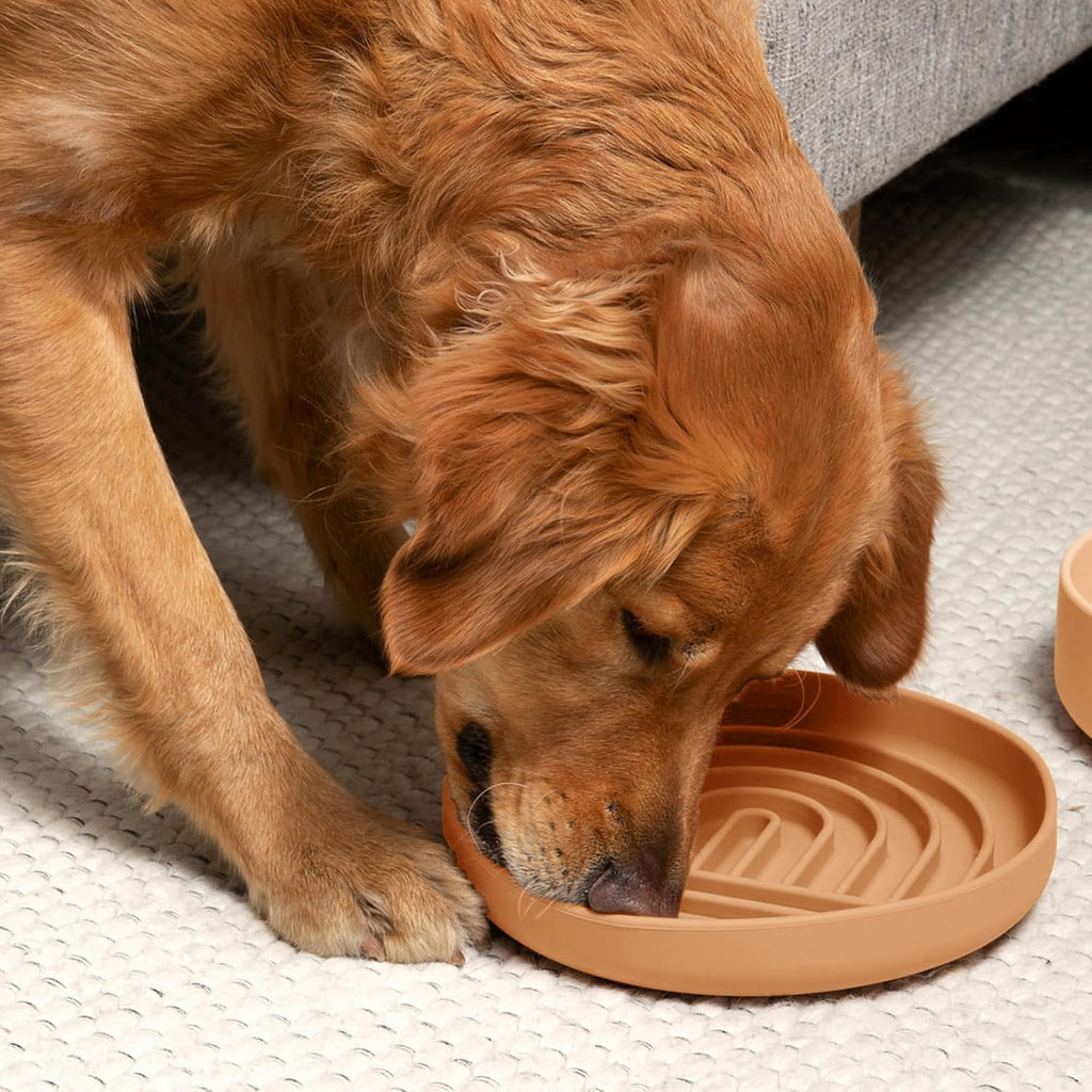 Slow Feeder Dog Bowl - Silicone Dog Bowl, Large, 9.5" x 1.5" - Terracota