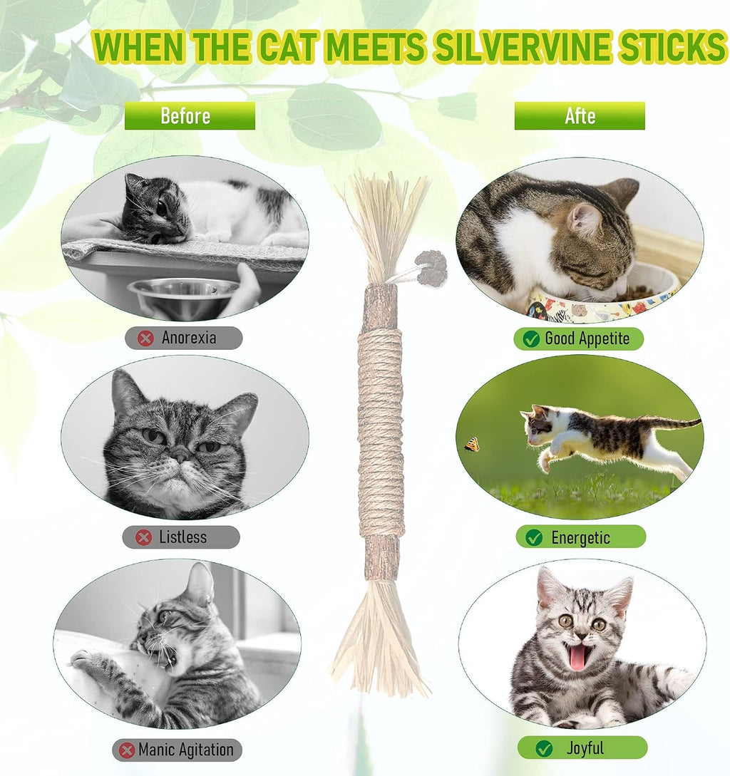 Silvervine Sticks Cat Chew Toys for Indoor Cats Dental Care Teeth Cleaning, Natural Kitten & Cat Teething Toys for Health, Cat Chew Stick Treat Edible Suitable for All Breeds of Aggressive Chewers Cat