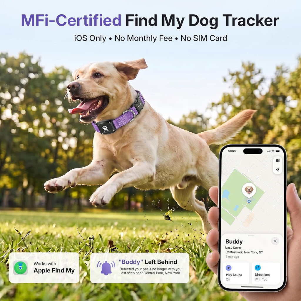 GPS Dog Collar with Tracker, Waterproof, No Monthly Fee, Purple, M