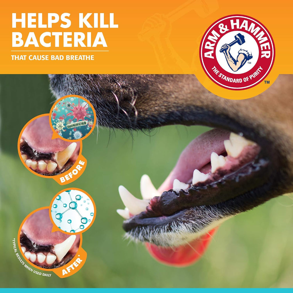 Arm & Hammer Enzymatic Dog Dental Care Kit, Chicken Flavor, 2.5 Oz, 48-Pack | Baking soda toothpaste, poultry flavor, double-sided toothbrush and finger brush included 