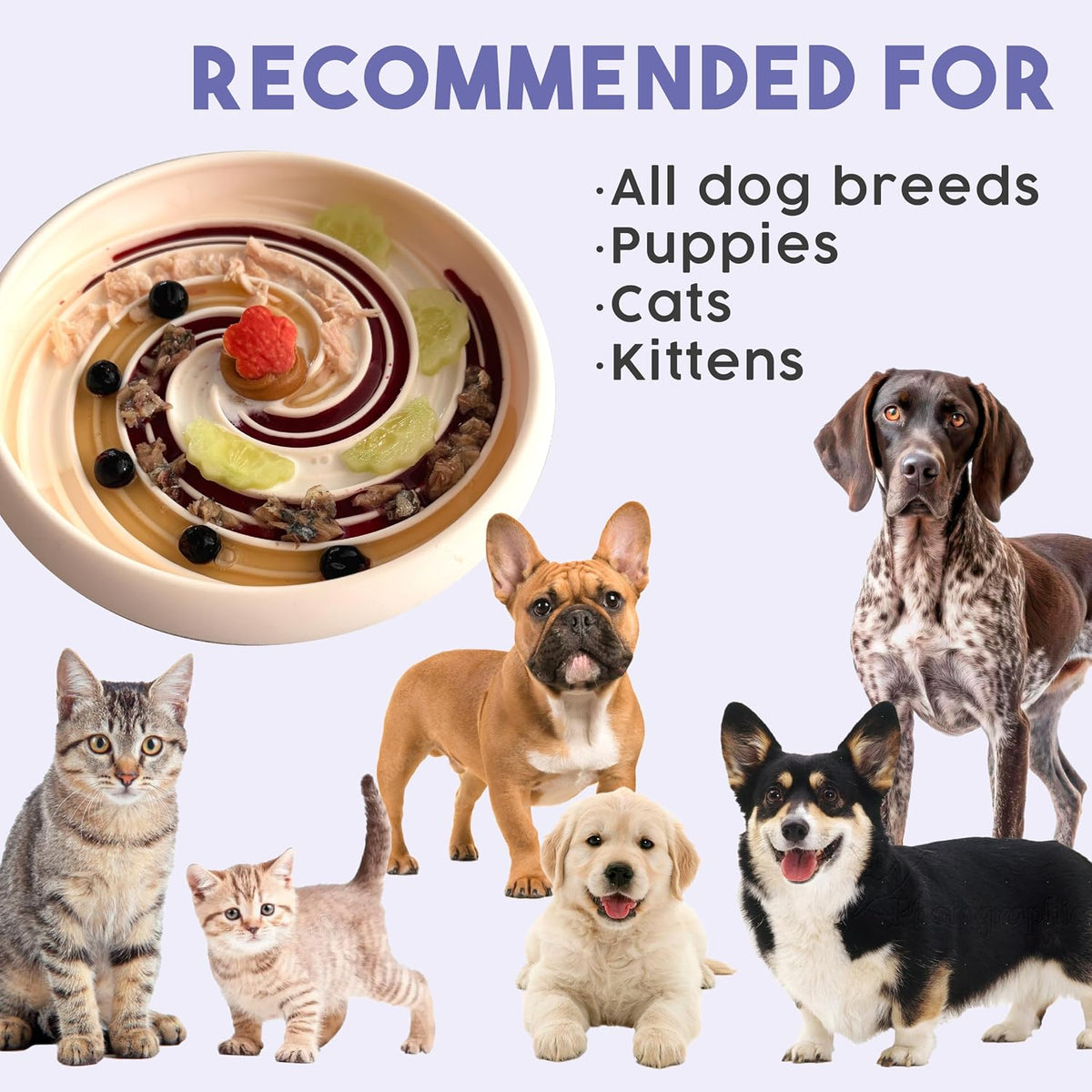 Large Lick Dish - Silicone Lick Mat + Slow Feeder for Cats & Dogs (Sage)