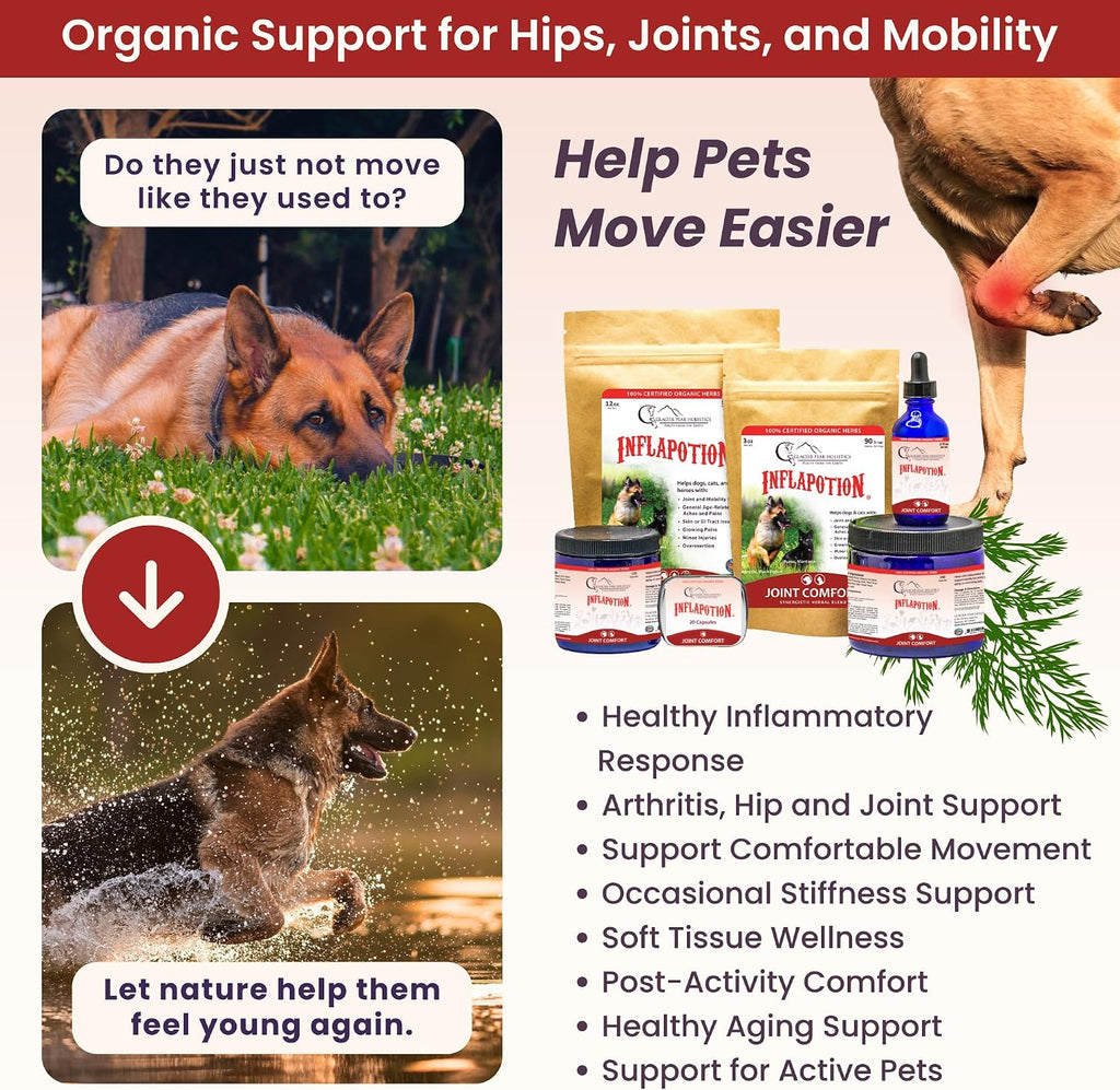 Glacier Peak Holistics Inflapotion Hip & Joint Support for Dogs & Cats 3 oz