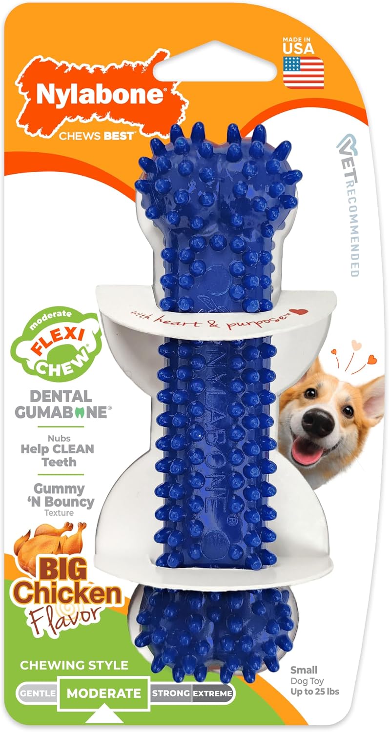 Nylabone Flexi Chew Dental Gumabone Dog Chew Toy, Chicken Flavor, Small