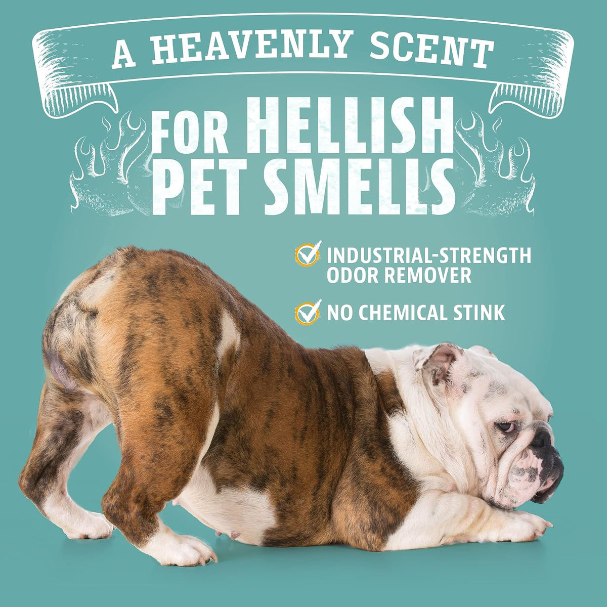 ANGRY ORANGE Pet Odor Eliminator Kit for Dog/Cat Urine, 24oz Citrus Odor Eliminator Spray and Stain Sniper Flashlight - Citrus Scent