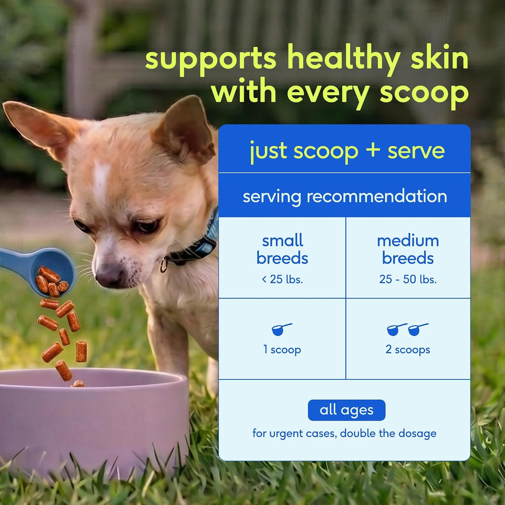 Native Pet Itchy Skin - Dog Itching Skin Relief - Vet-Formulated Gut-Skin Support, Seasonal Allergies, Healthy Skin Barrier - 120 Scoops