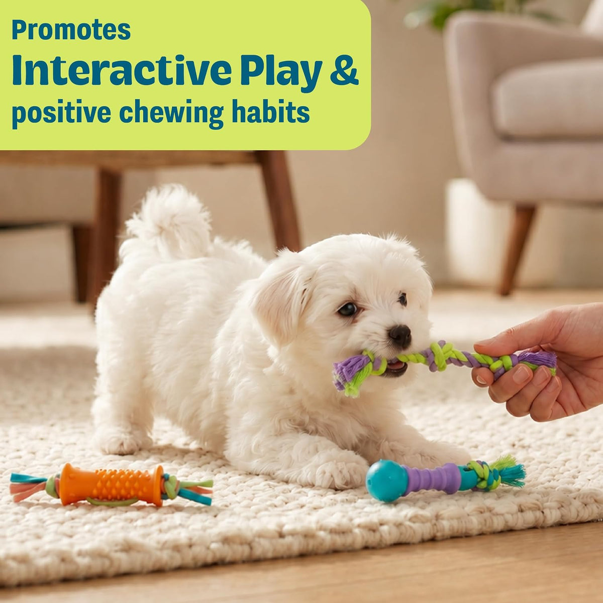 Dental Chew Pack Mini Dog Chew Toys, 7", 3-Pack | Helps Keep Teeth Clean, Massages Gums, Multi-Textured, Fetch & Tug, Moderate Chewers, Small Dogs & Teething Puppies
