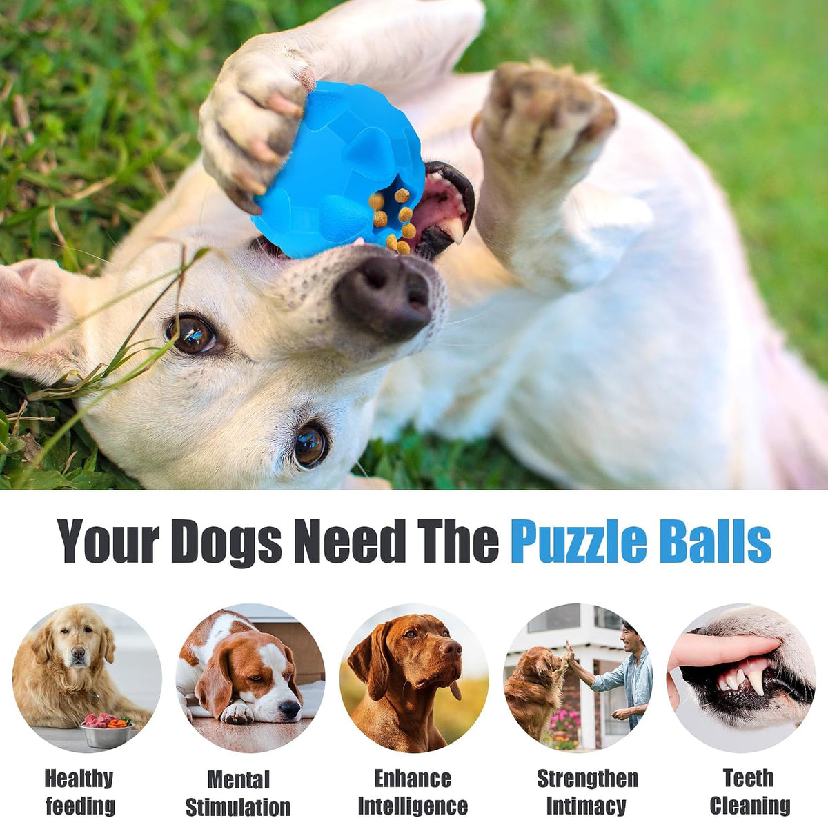 Rubber Treat Dispensing Cognitive Dog Toys for Aggressive Chewers Breed