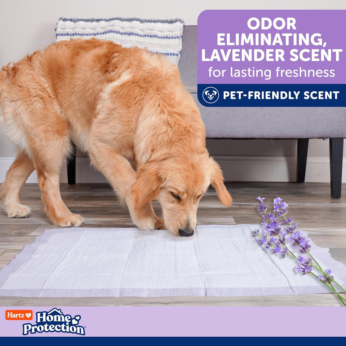Hartz Home Protection Super Absorbent Odor Eliminating Lavender Scented No Leak Dog Pads, XXL 20 Count (Pack of 3)