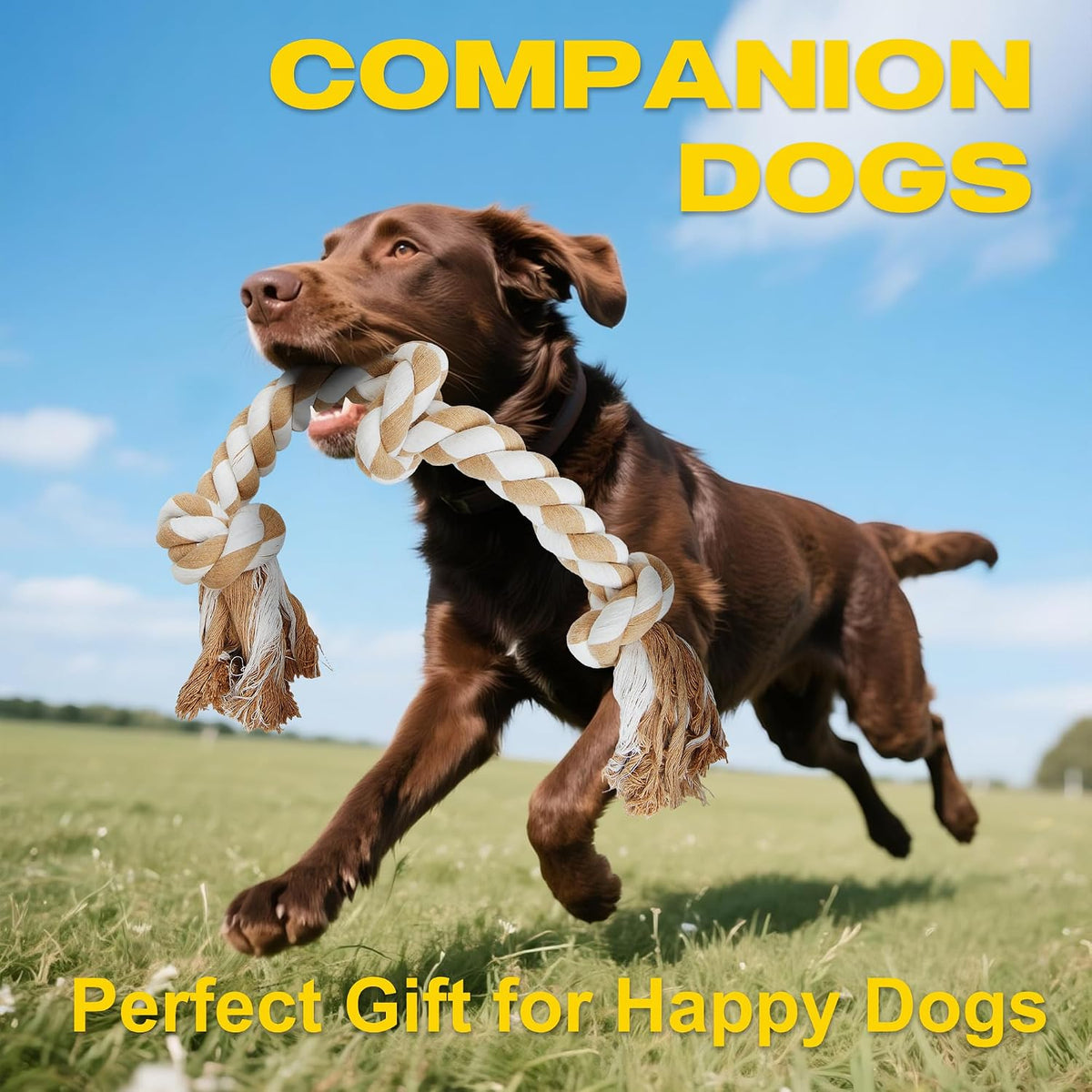 Fida Dog Rope Toys for Medium Large Dogs, Chew Toys for Aggressive Chewers | Natural Cotton, Heavy Duty Pull Rope for Tug of War and Interactive Play, Tough 3 Knots, Teeth Cleaning
