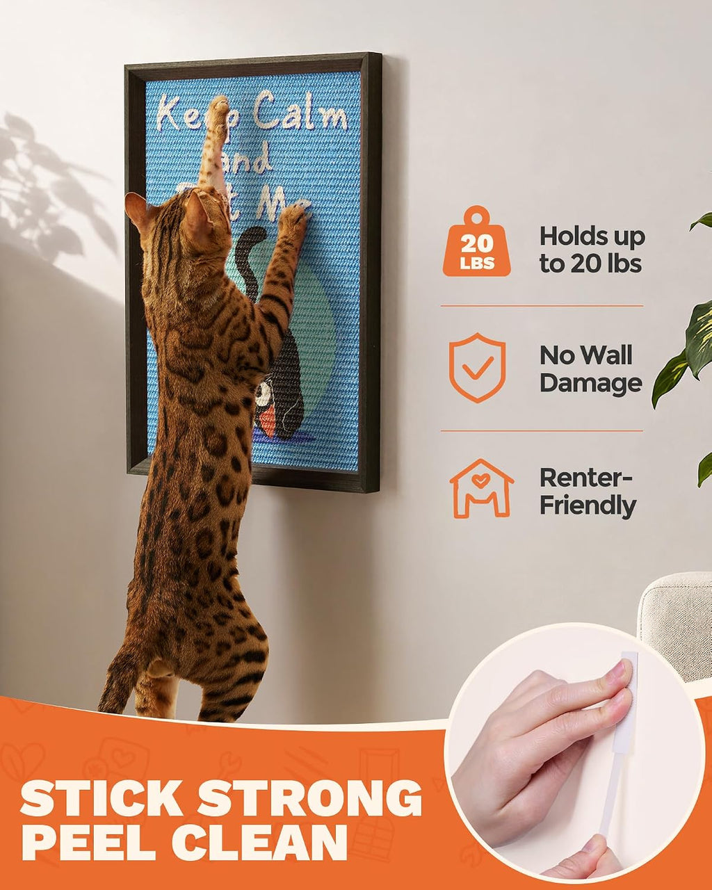Decorative Wall Art Cat Scratcher Funny Cat Quote Sisal Scratch Pad