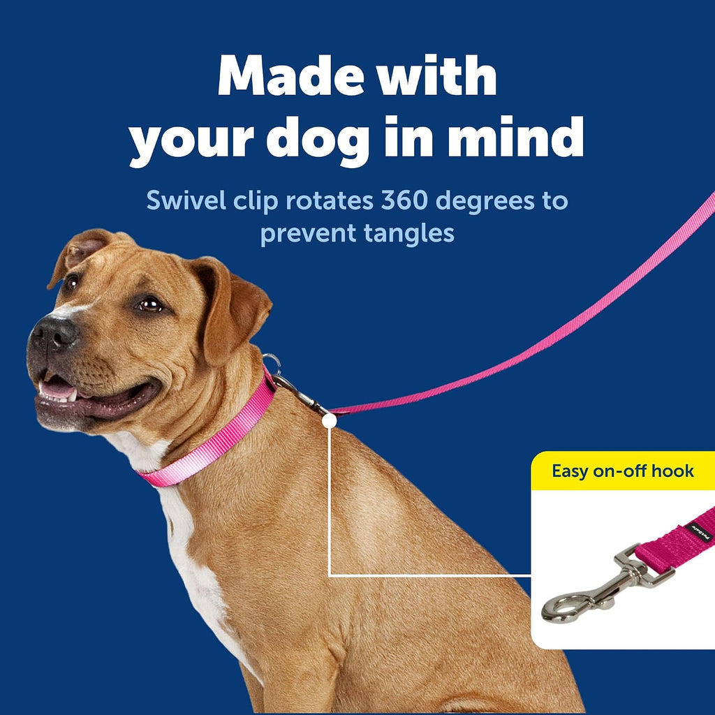 PetSafe Nylon Dog Leash - Strong, Durable, Traditional Style Leash with Easy to Use Bolt Snap - 3/4 in. x 6 ft., Deep Purple